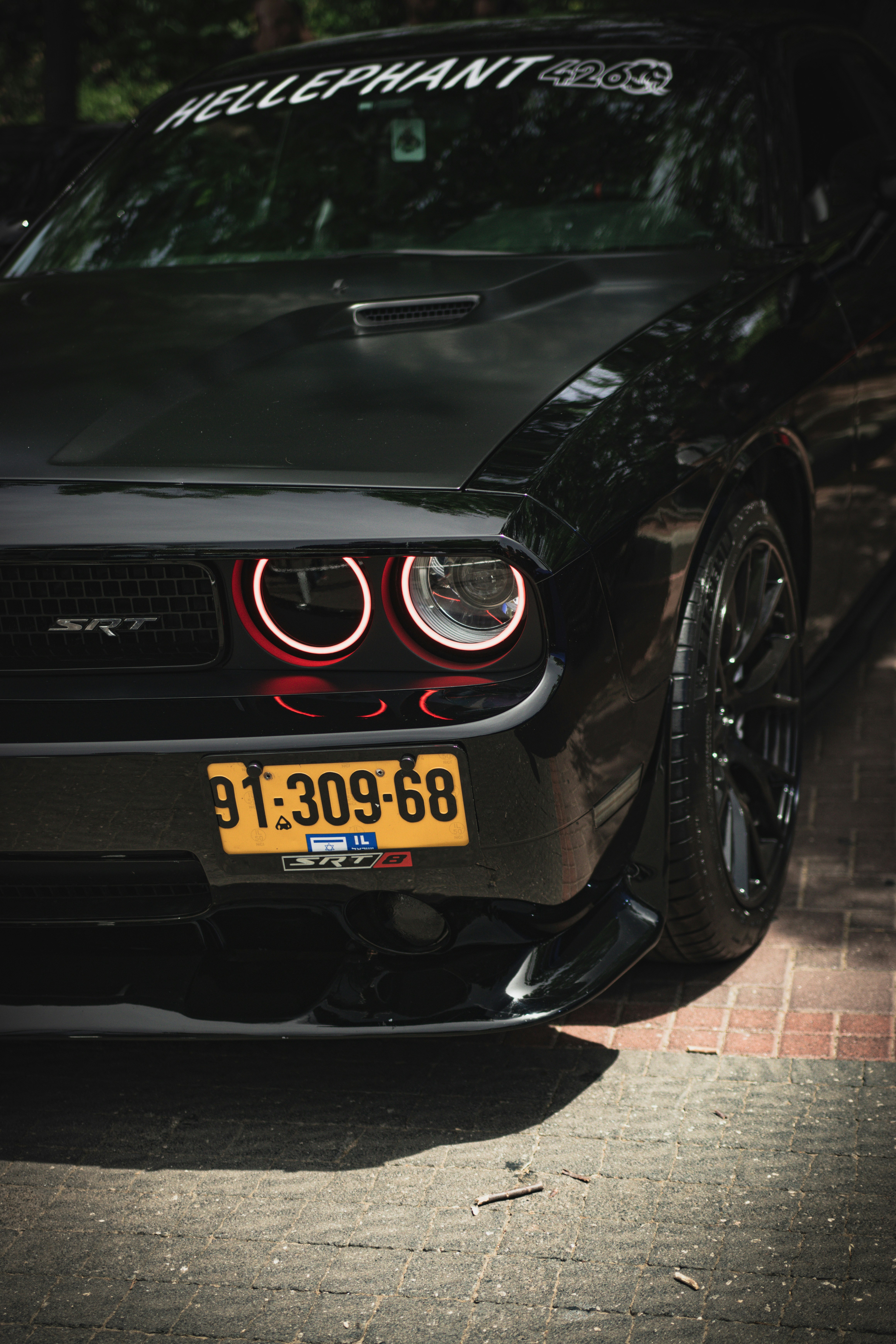 Photo by shoham_avisrur