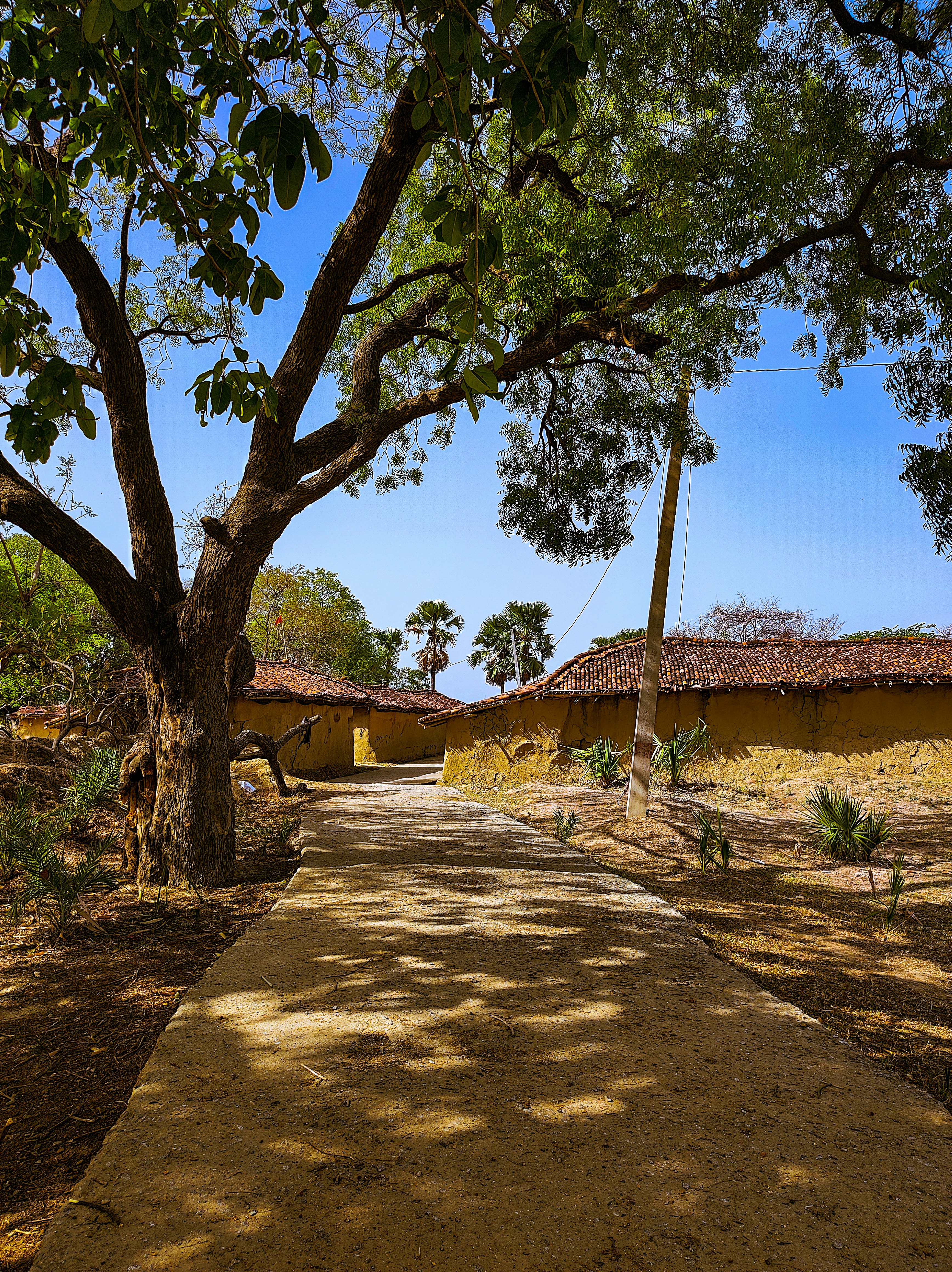 Photo by akashdeepshanker