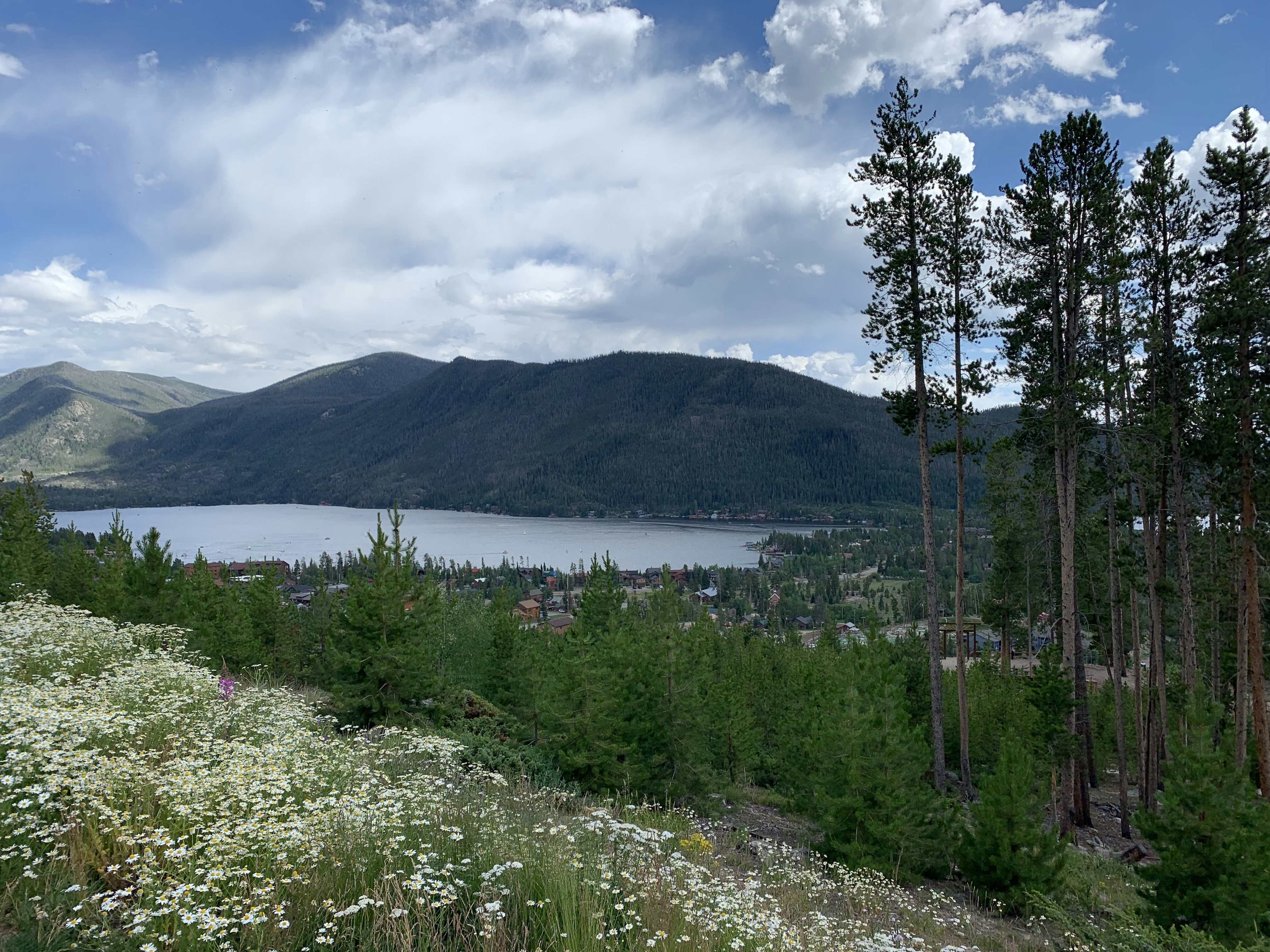 a scenic view of a lake surrounded by trees