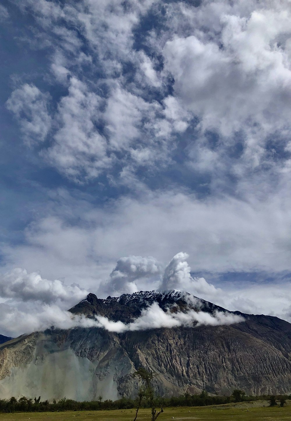 a mountain covered in clouds with a tree in the foreground