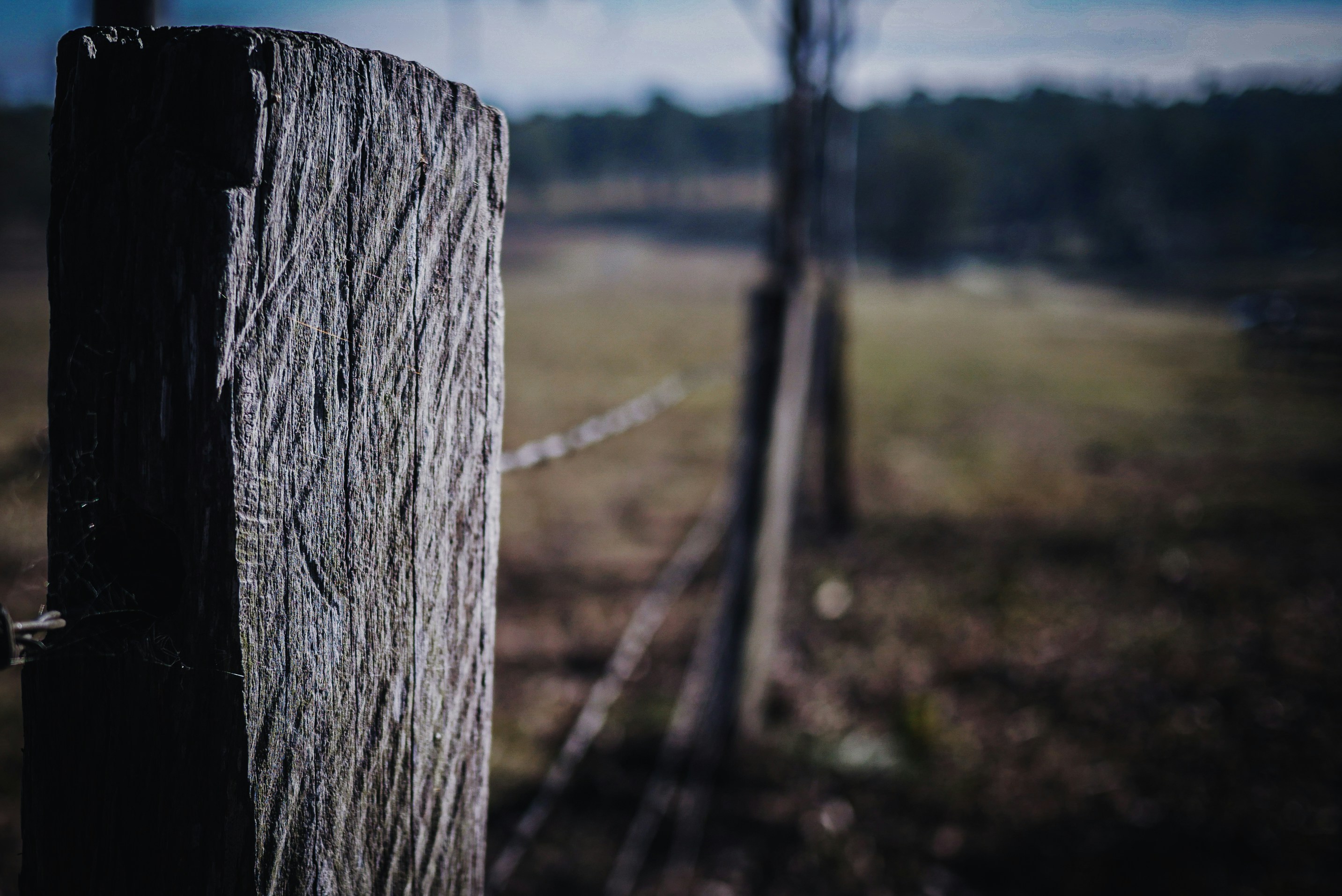 Inspirująca historia Bartosza Dąbrowskiego