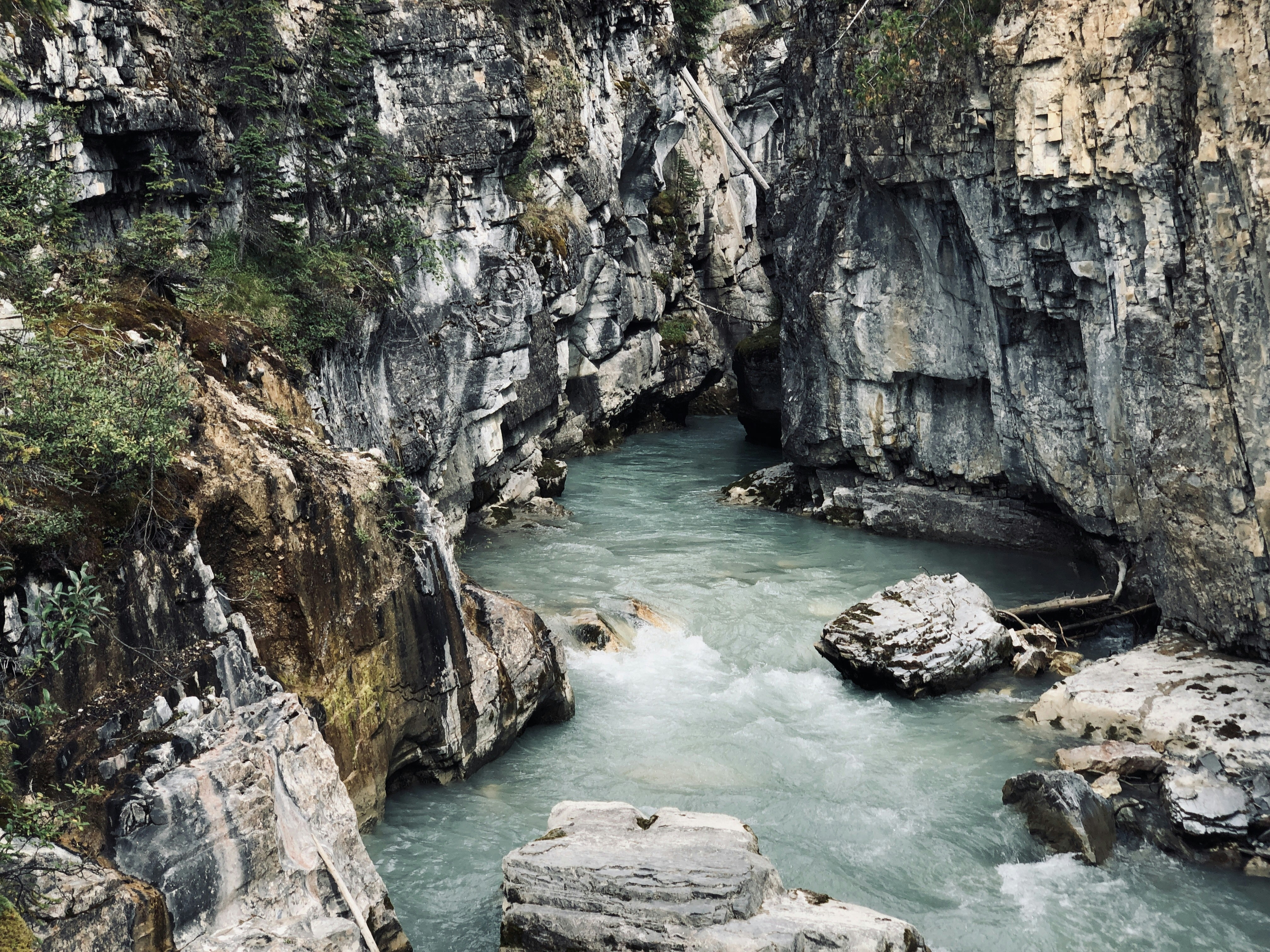 Photo by naturelensephotographer