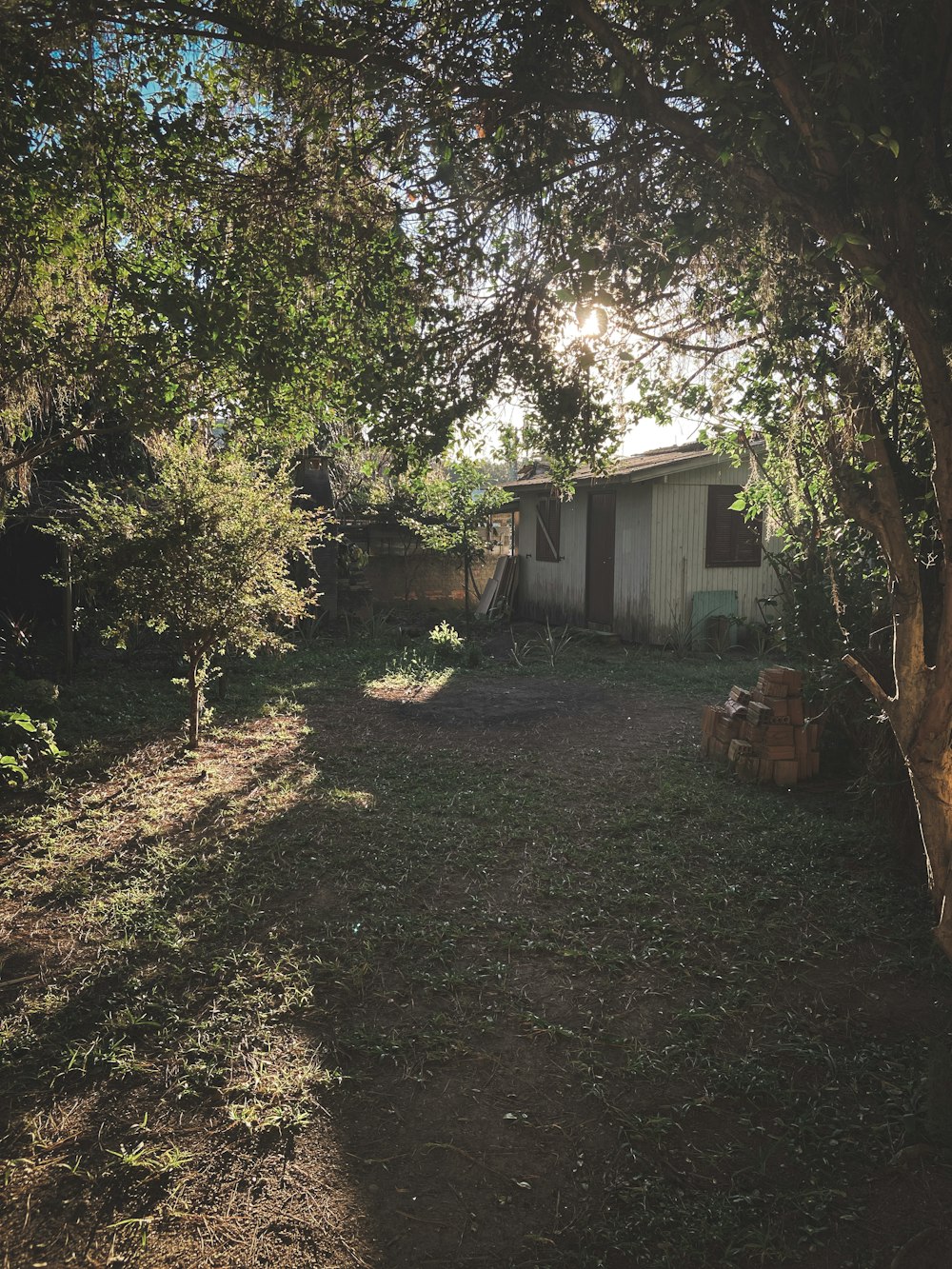 a back yard with a shed and trees