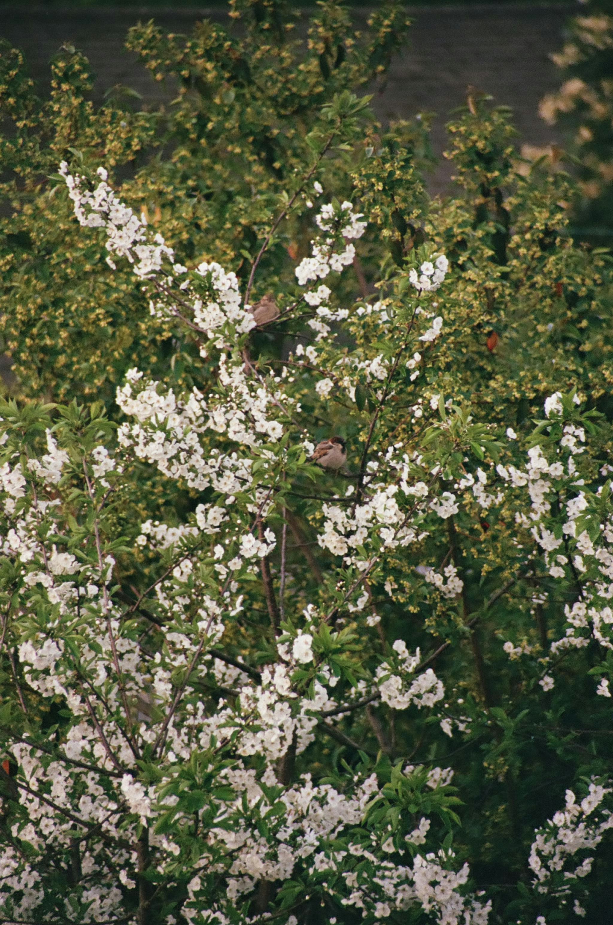 Photo by vanessaflores13