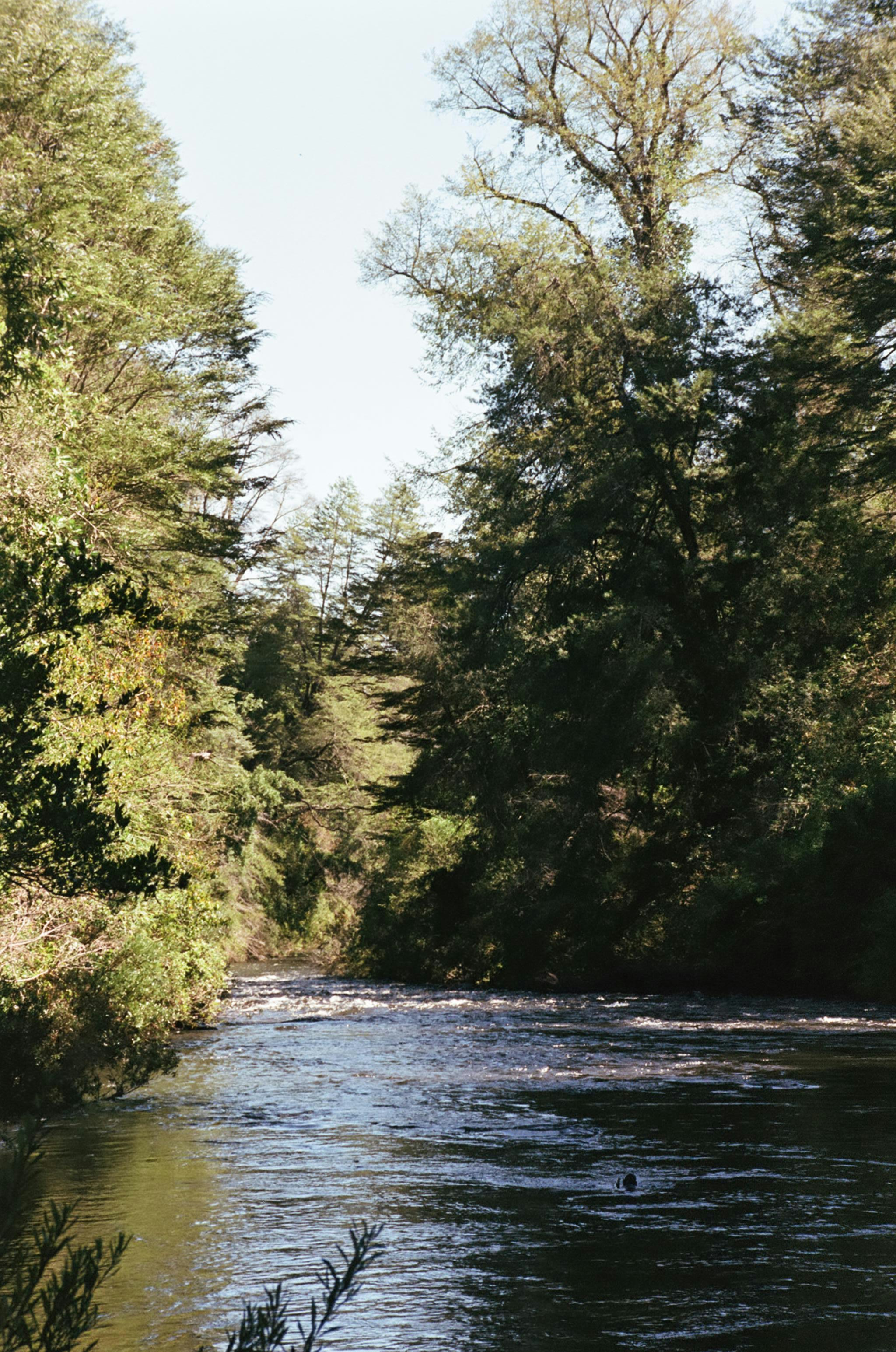 Photo by vanessaflores13