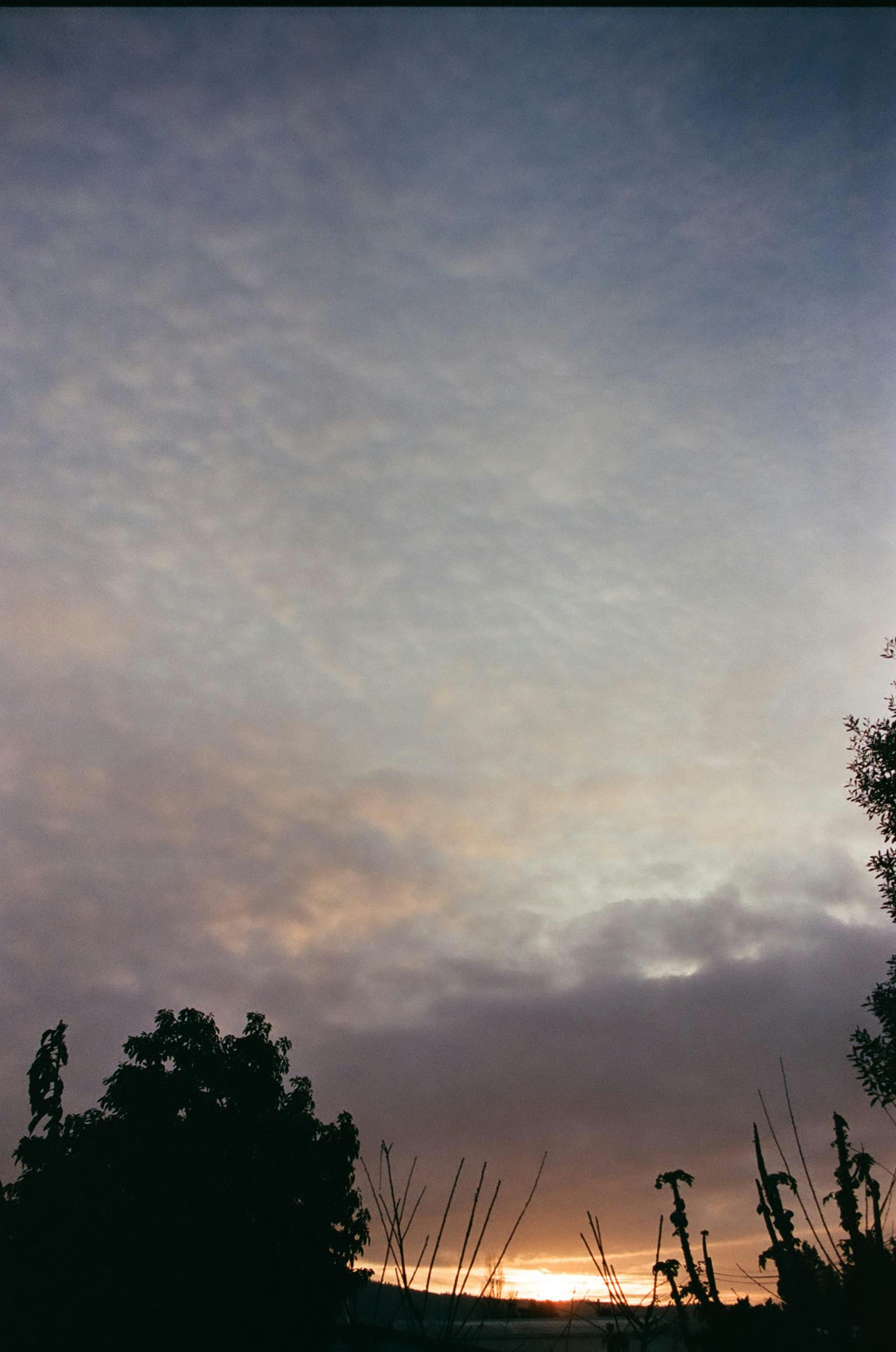 Photo by vanessaflores13