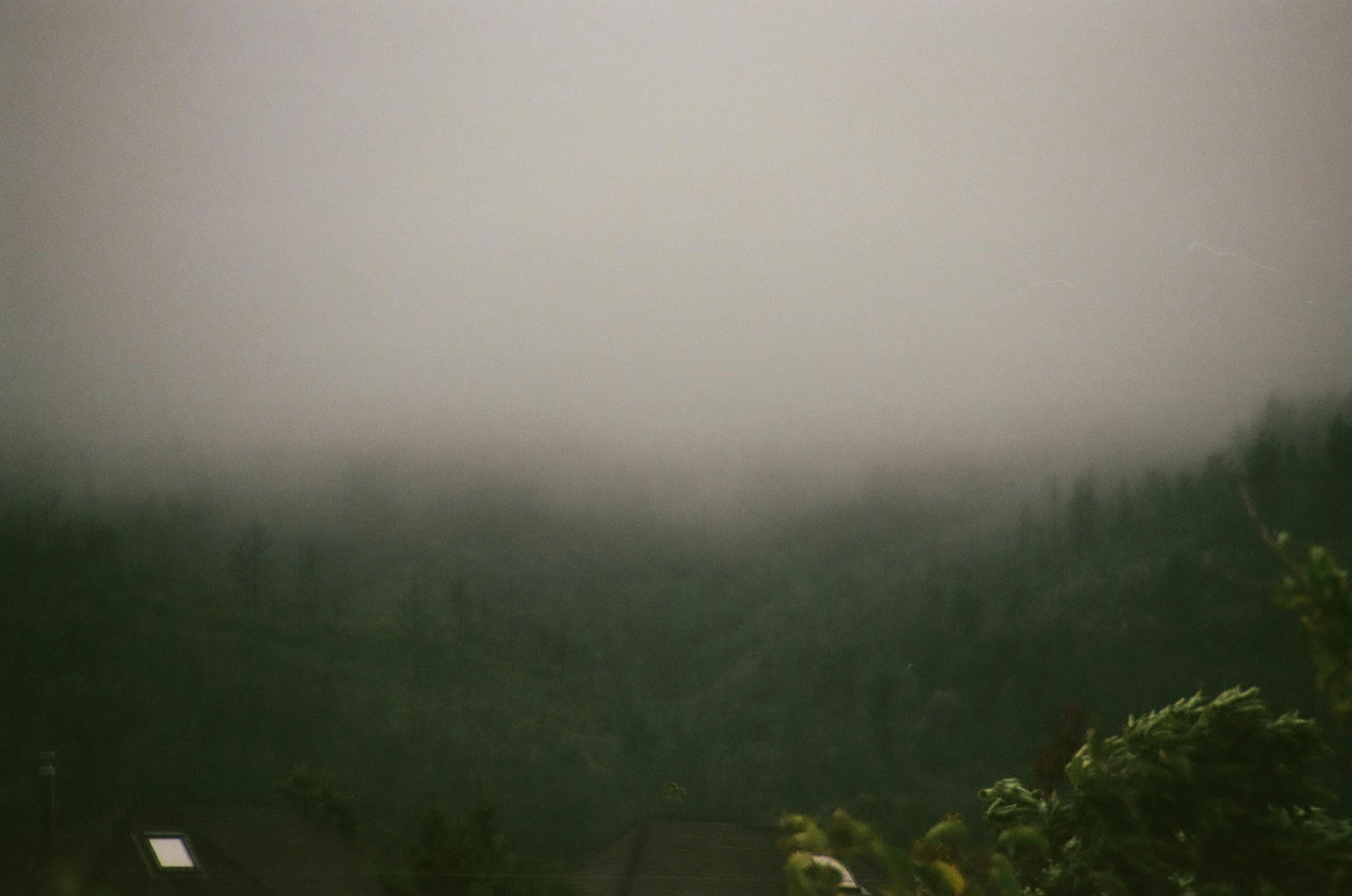 Photo by vanessaflores13