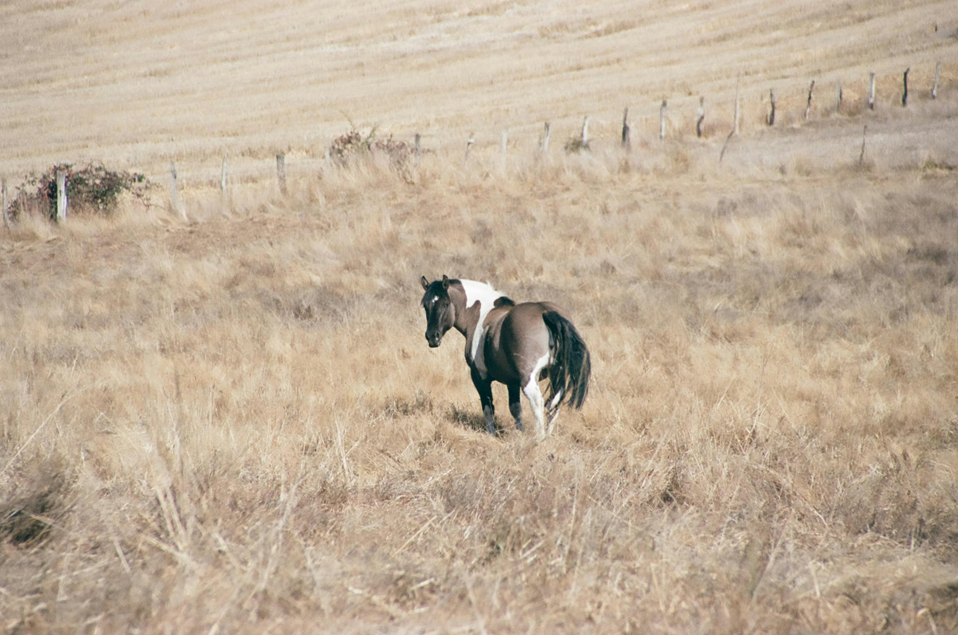 Photo by vanessaflores13