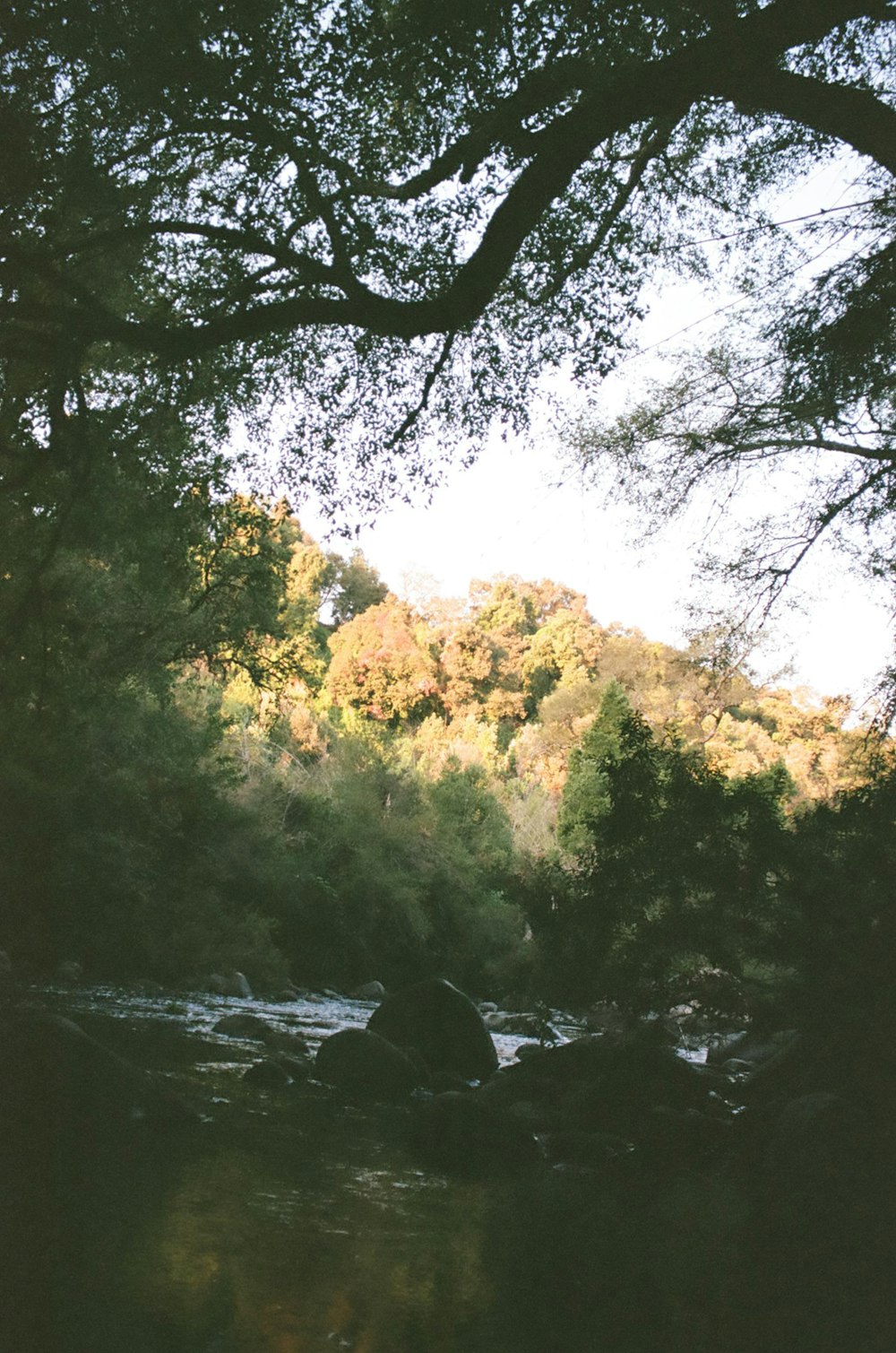 a man sitting on a rock in the middle of a river