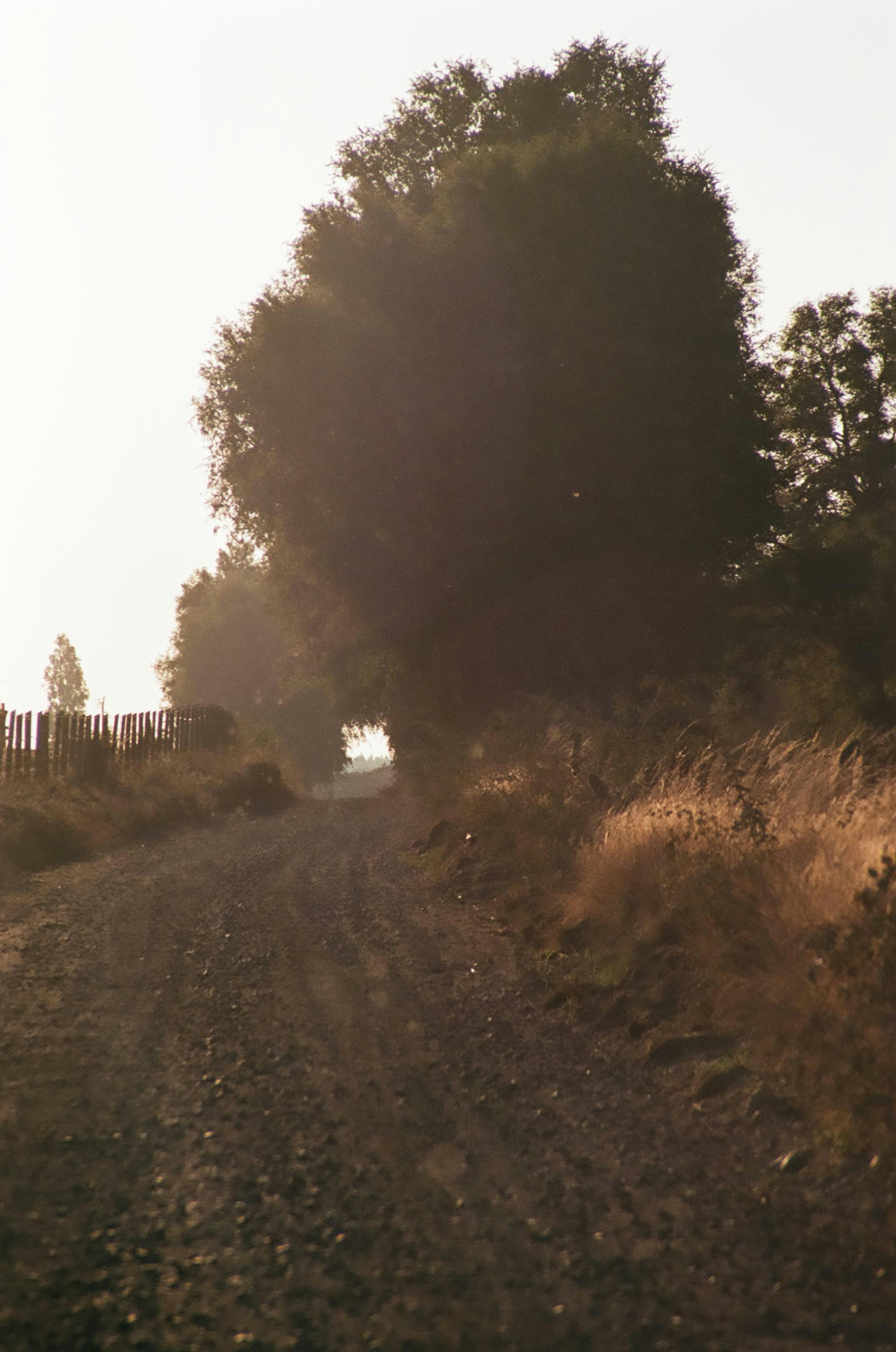 Photo by vanessaflores13