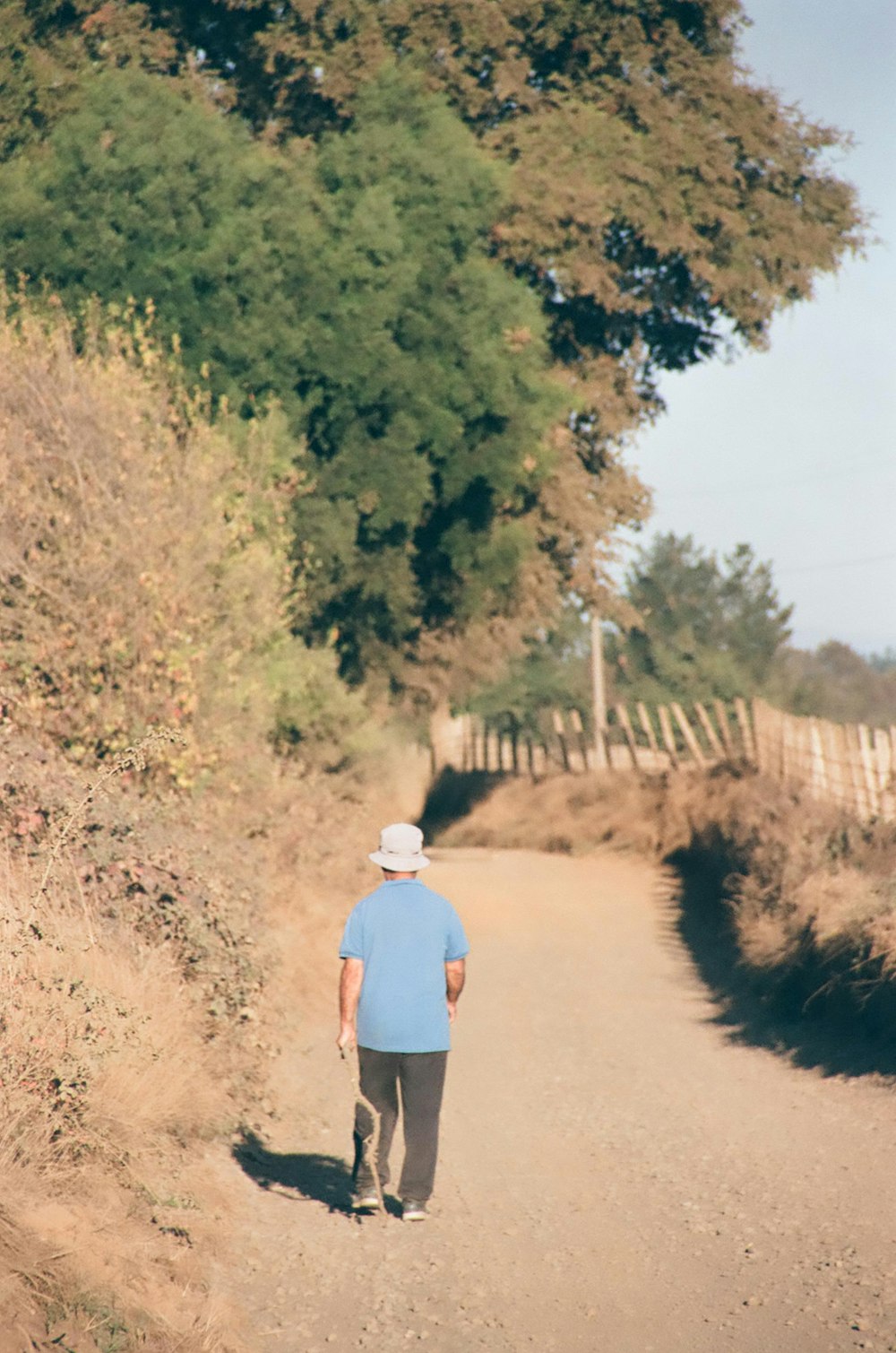 a man walking down a dirt road next to a forest