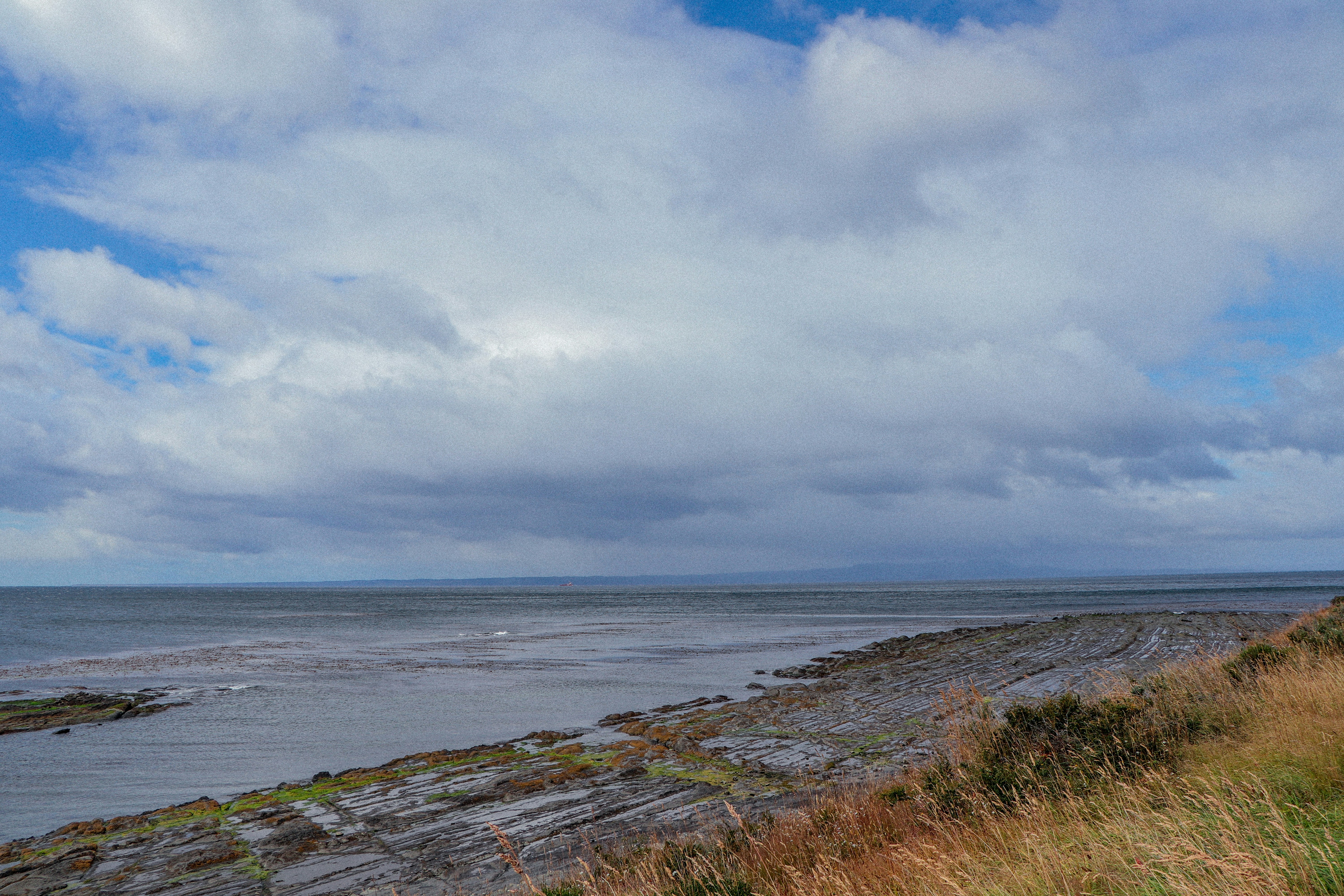 Punta Arenas – Food & Dining Culture