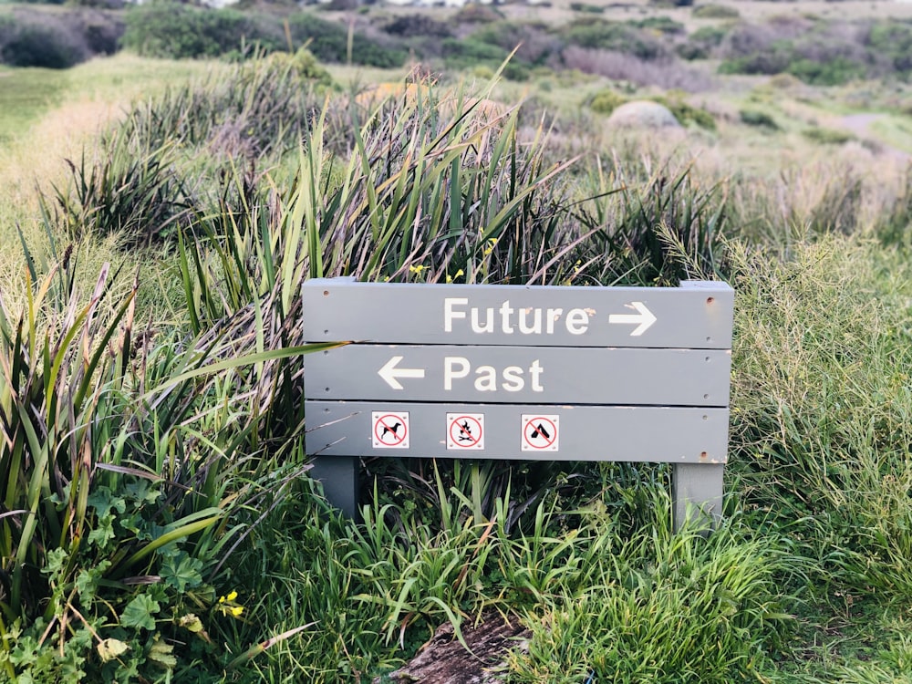 a sign in the middle of a grassy field