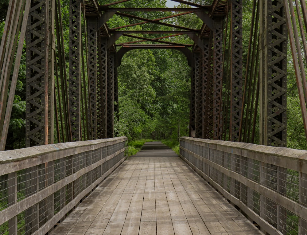 a wooden bridge with a walkway going across it