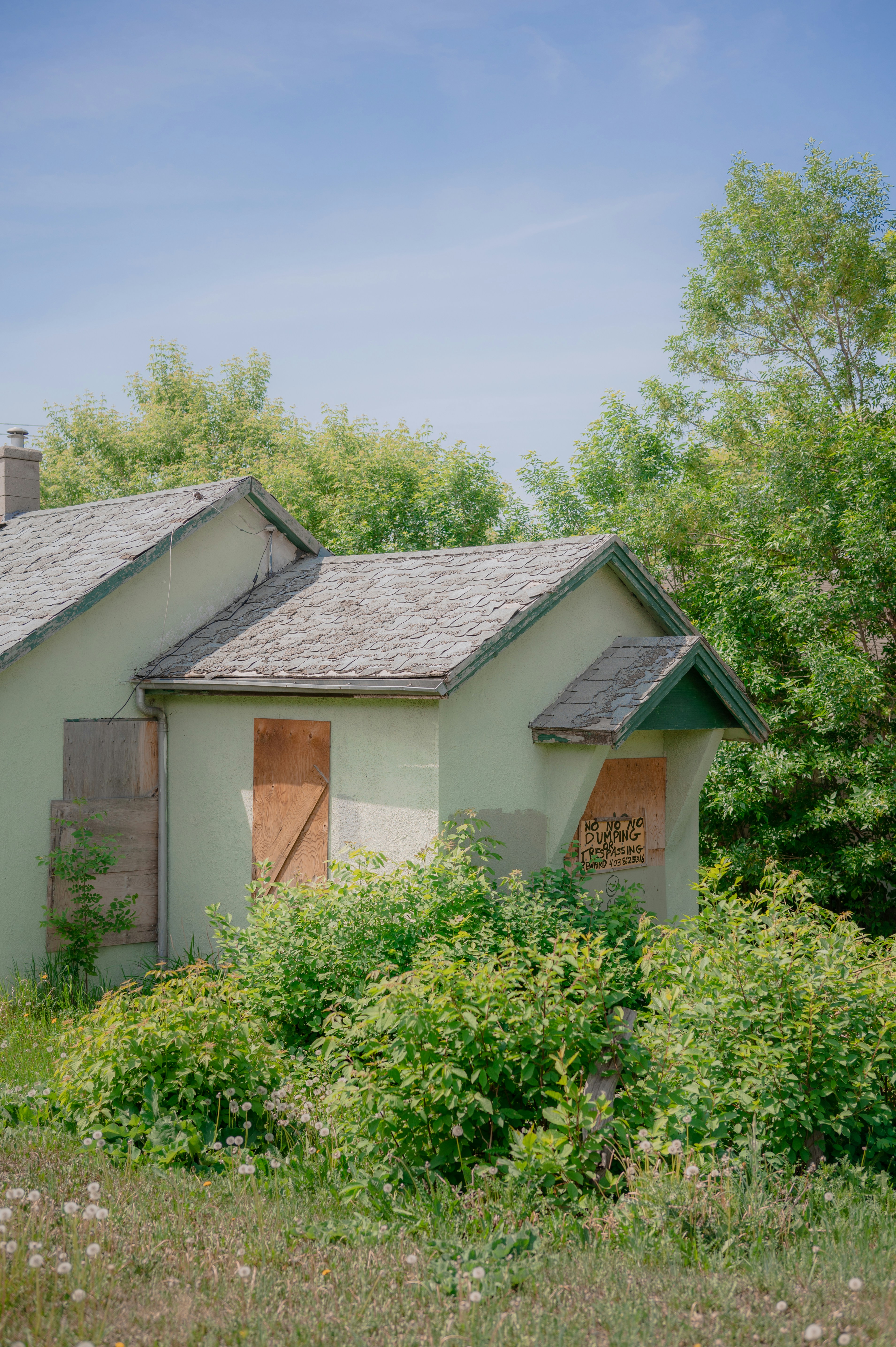 Photo by ryunosuke_kikuno