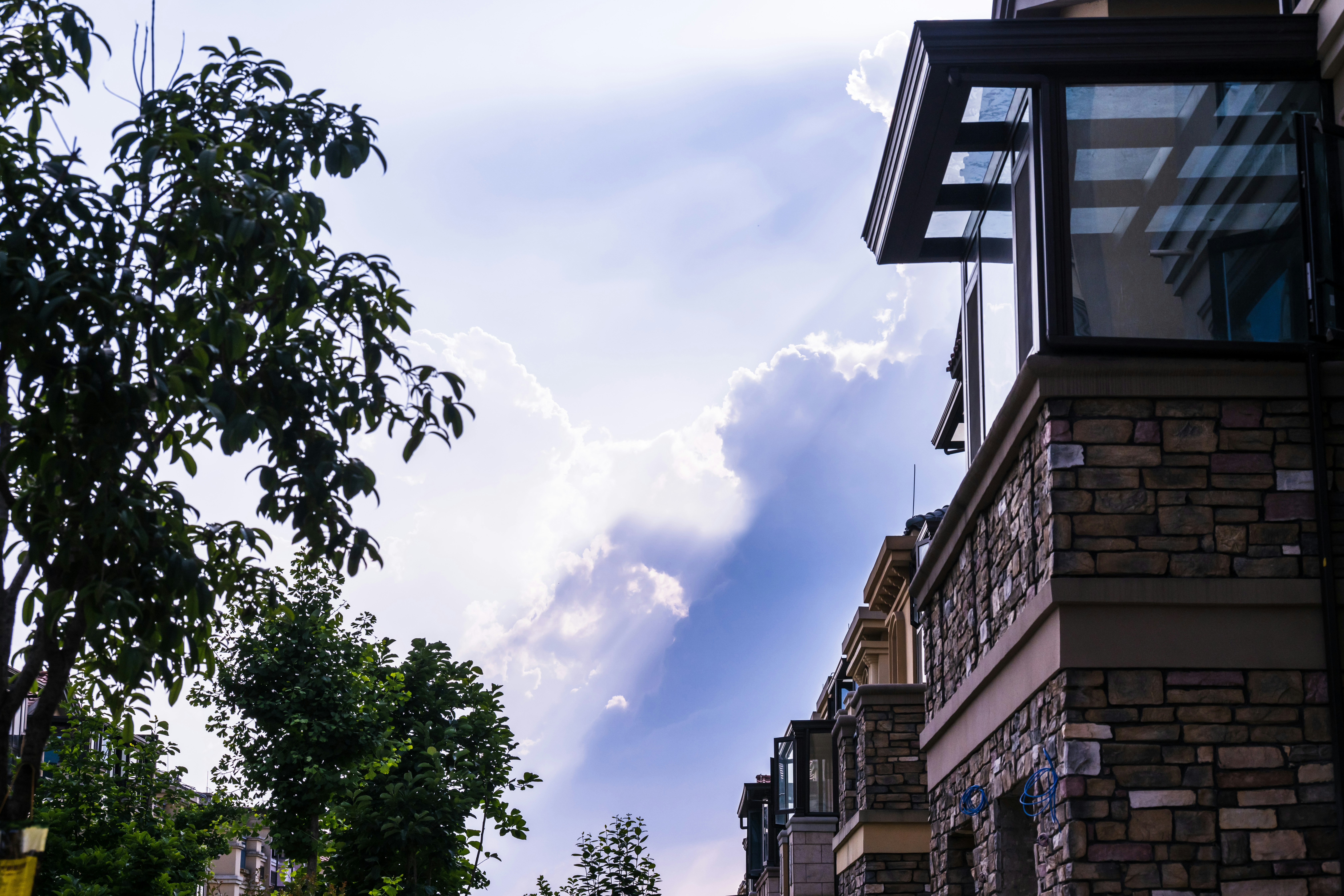 Photo by dzcdingding