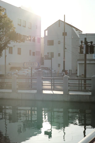 A peaceful Utrecht city view with natural light streaming over a quiet street near Zenith Wellness.