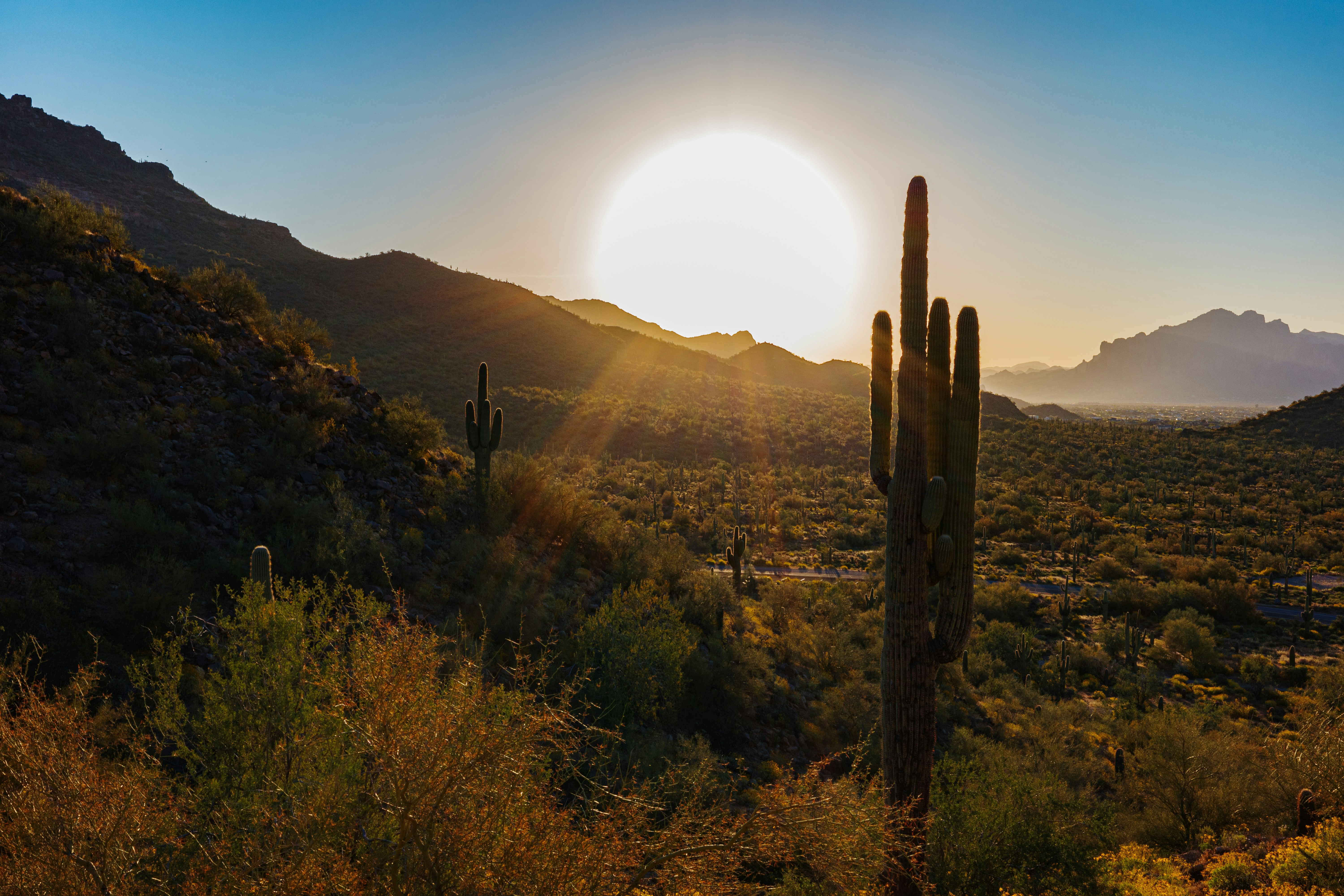 Photo by alex_b_photo