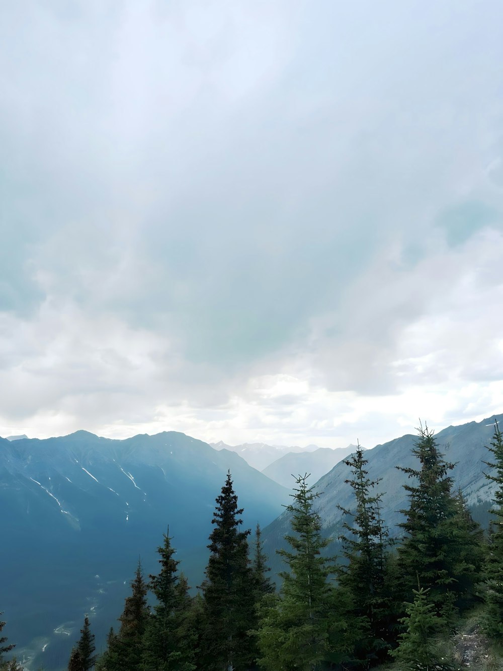 a scenic view of a mountain range with pine trees