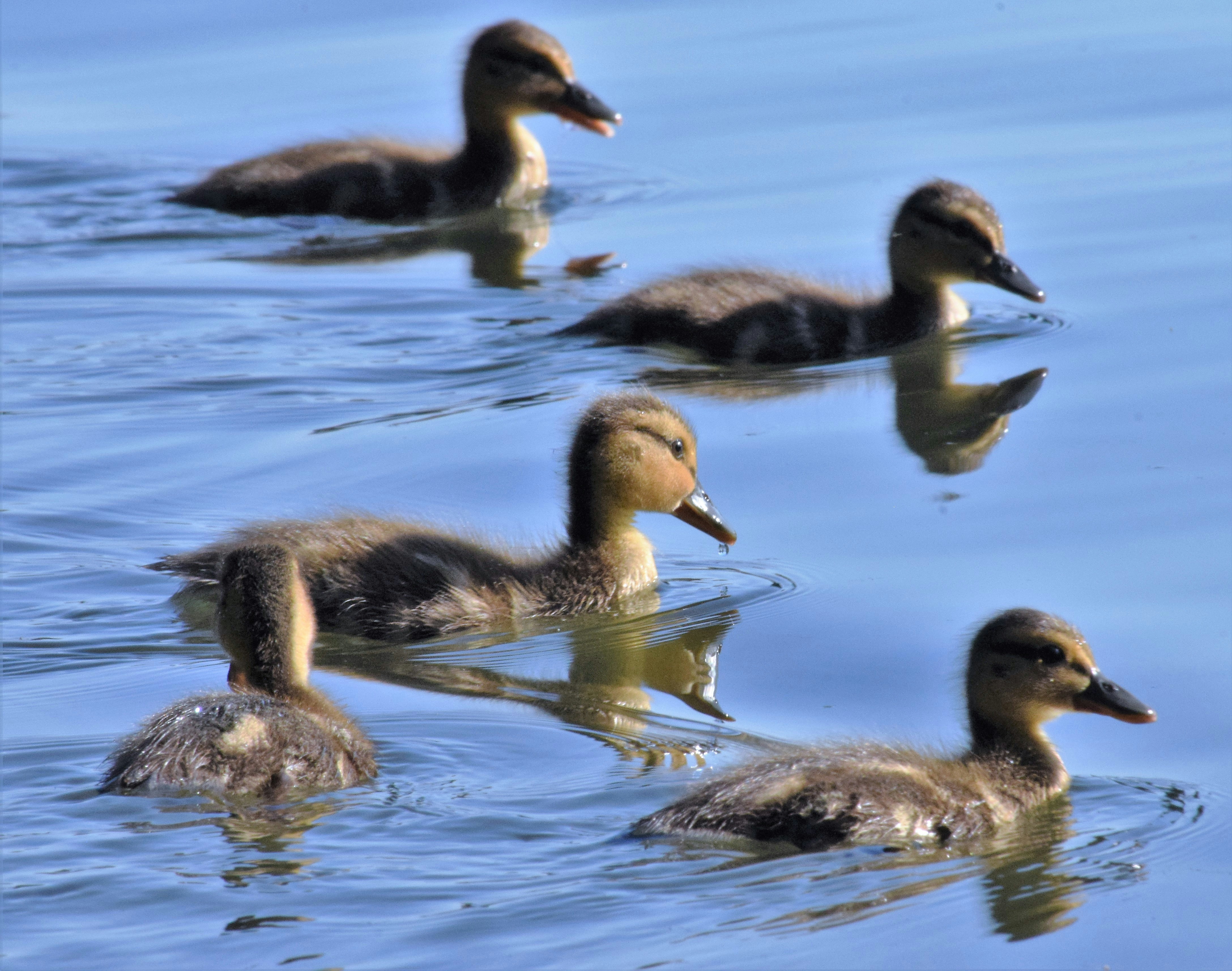 Photo by fr0ggy5_fr0ggy5