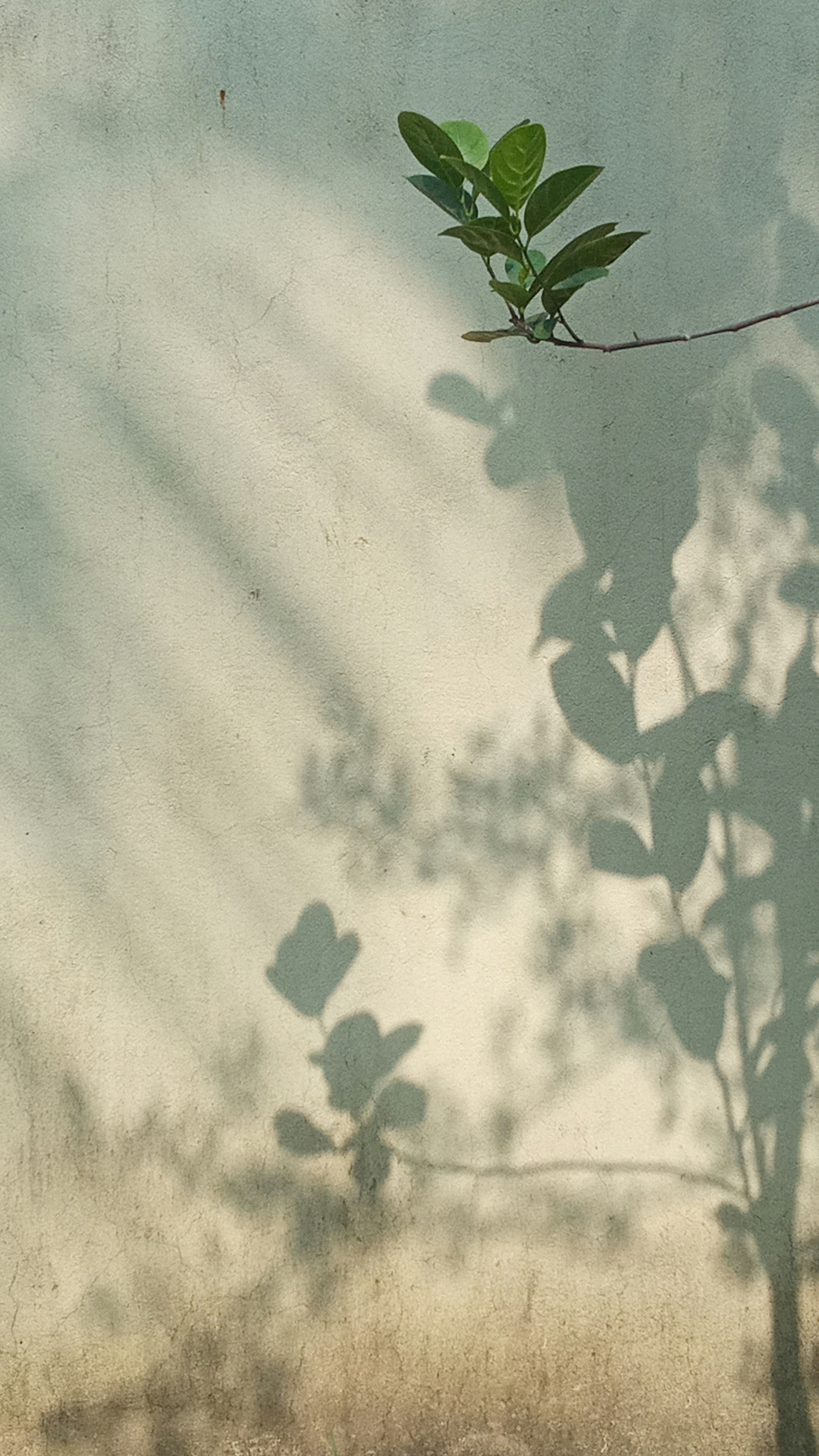 Photo by jakiahabiba