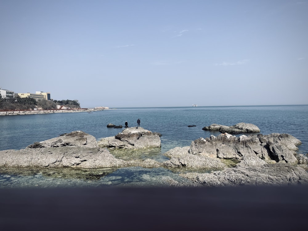 a couple of birds sitting on some rocks in the water