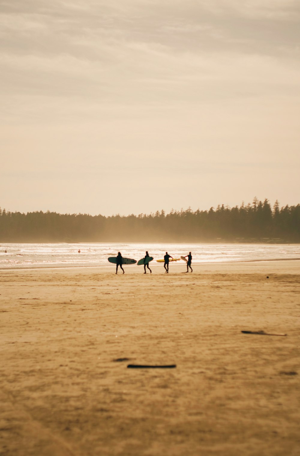 a group of people carrying surfboards on top of a beach