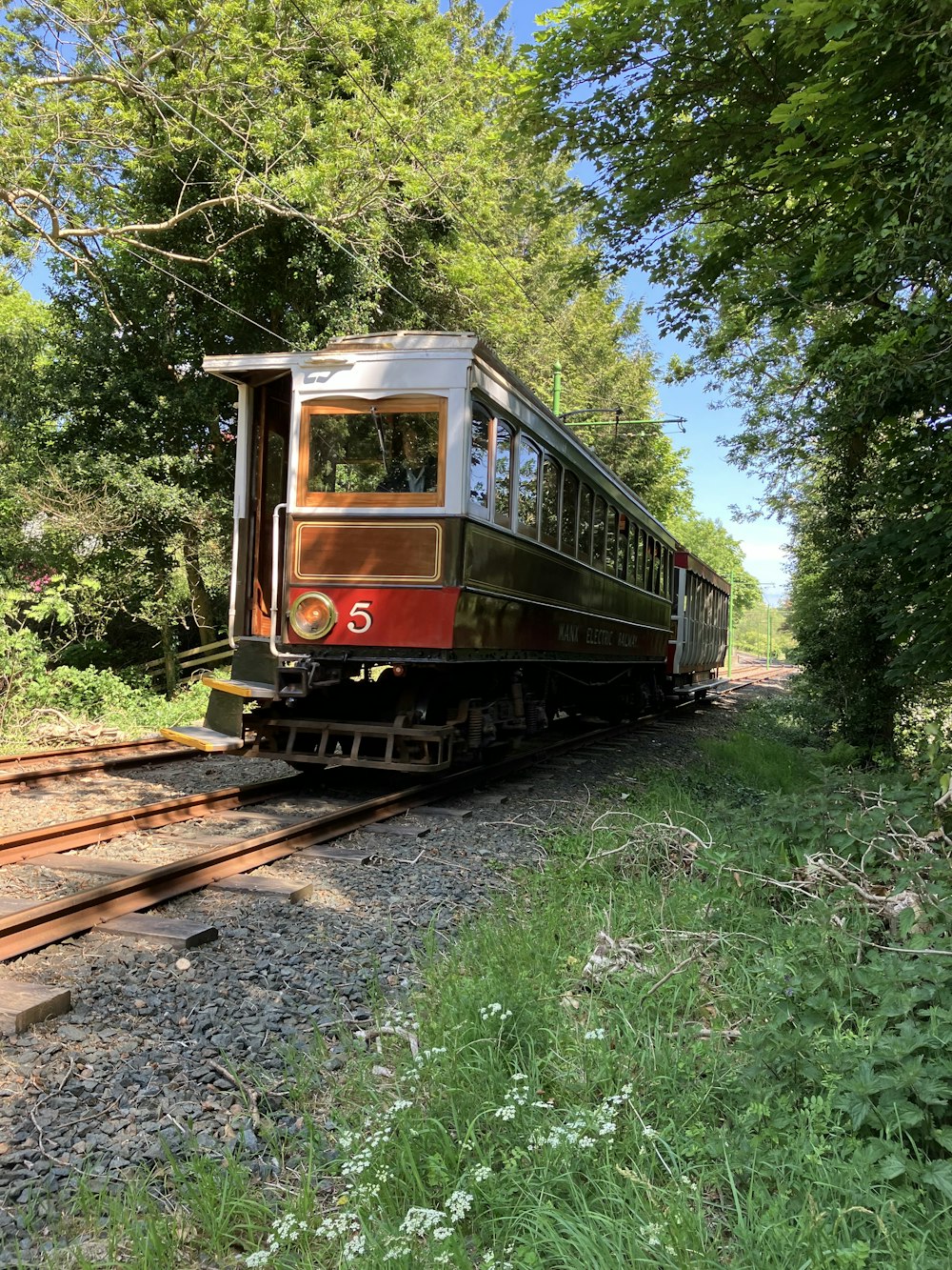 a train traveling down train tracks next to a forest