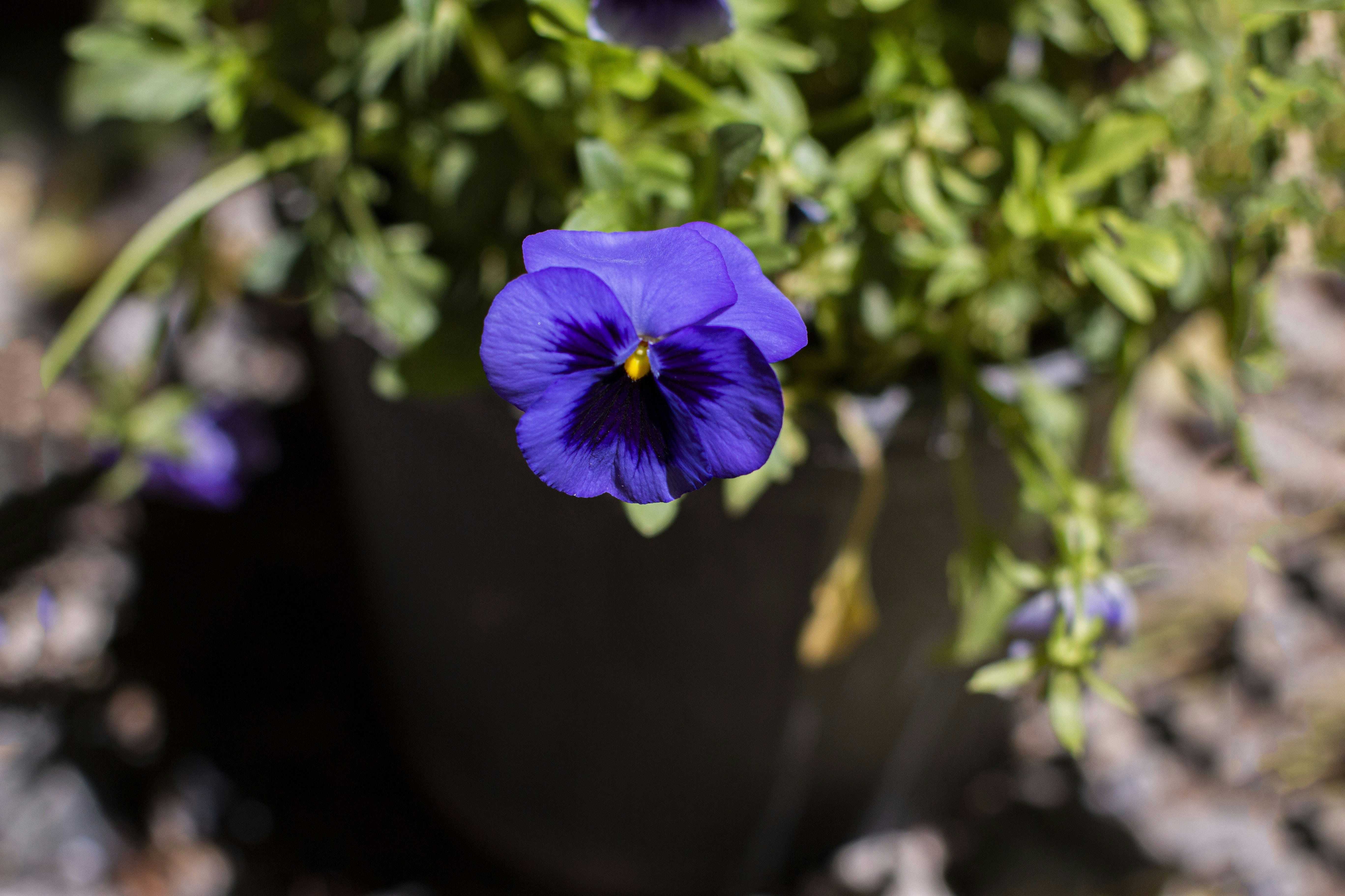 Photo by razipourjafari