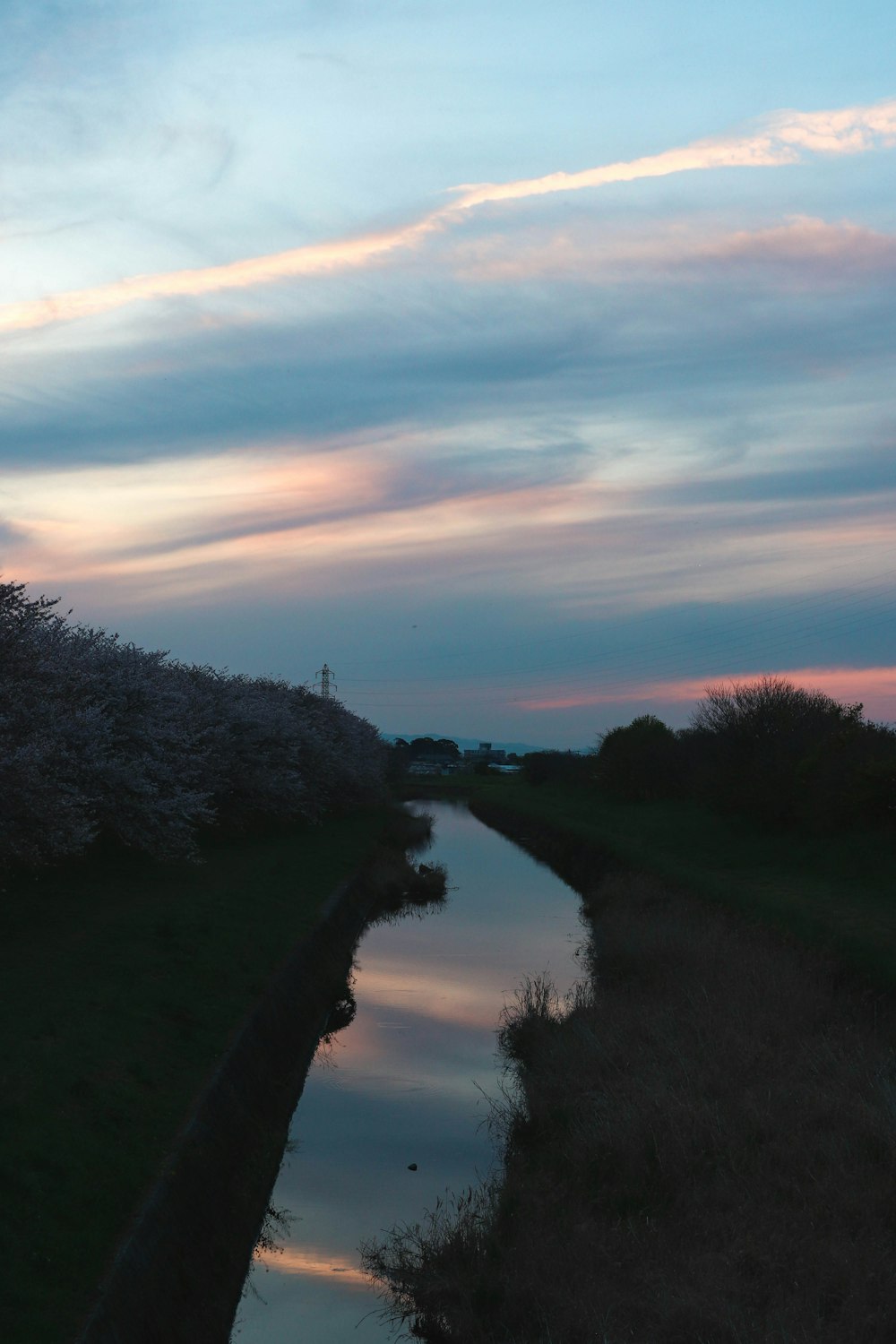 Un río que atraviesa un exuberante campo verde