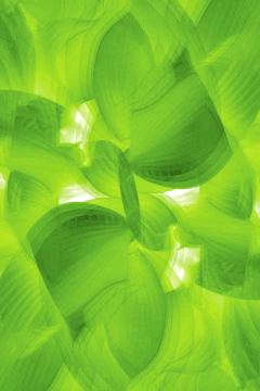 Geometric shapes suggesting growth and transformation in emerald green.