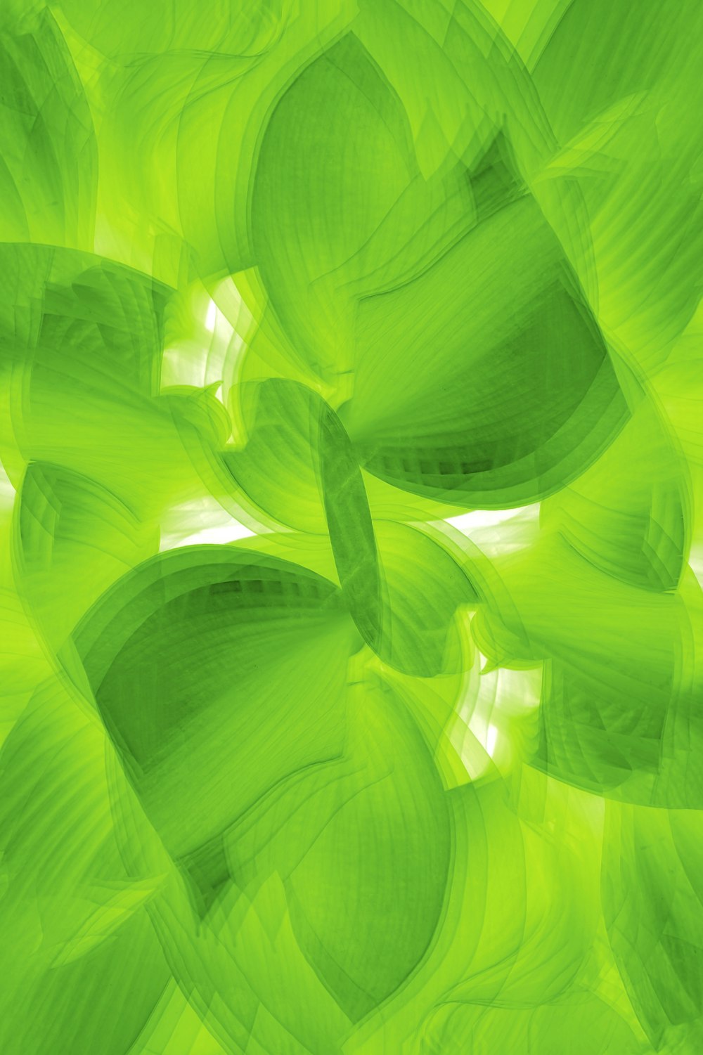 Un fond abstrait vert avec beaucoup de feuilles