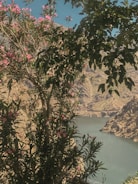 A vibrant landscape showcasing a popular tourist destination.