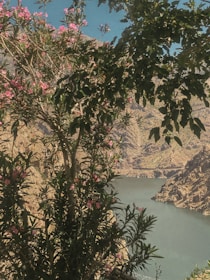 A vibrant landscape showcasing a famous tourist attraction surrounded by nature.