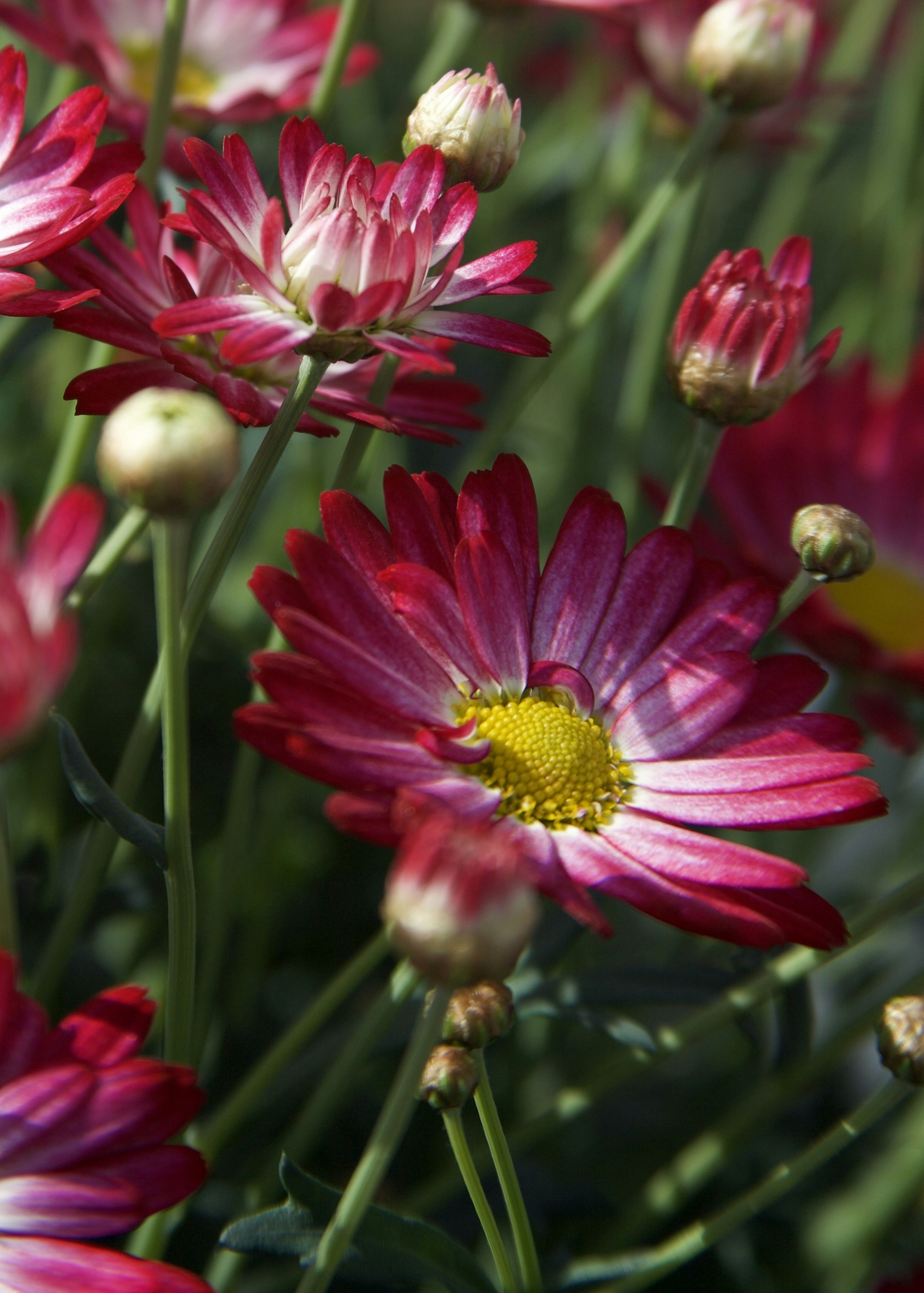 Photo by kristinokarlsen