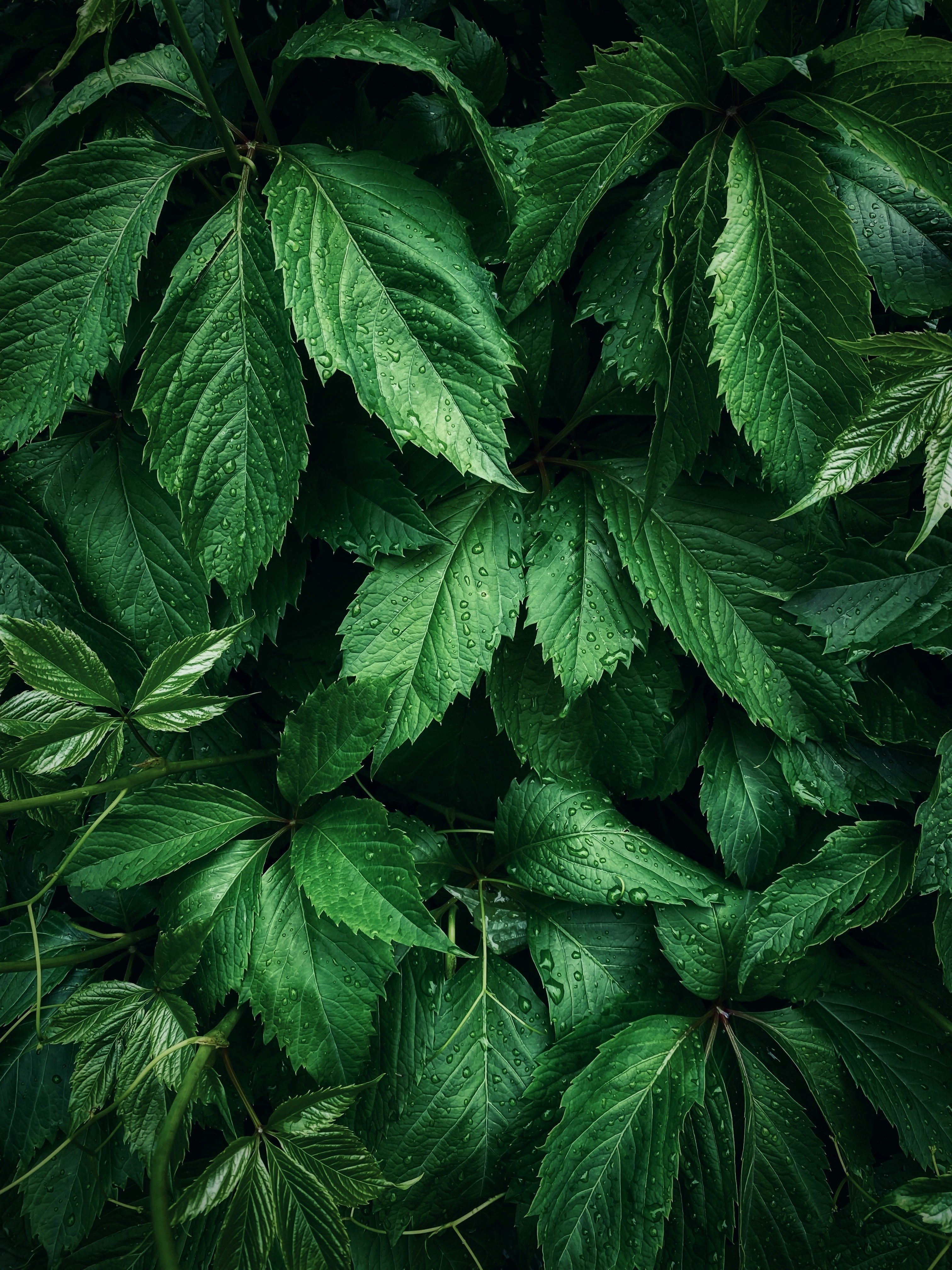 Photo by eugene_golovesov