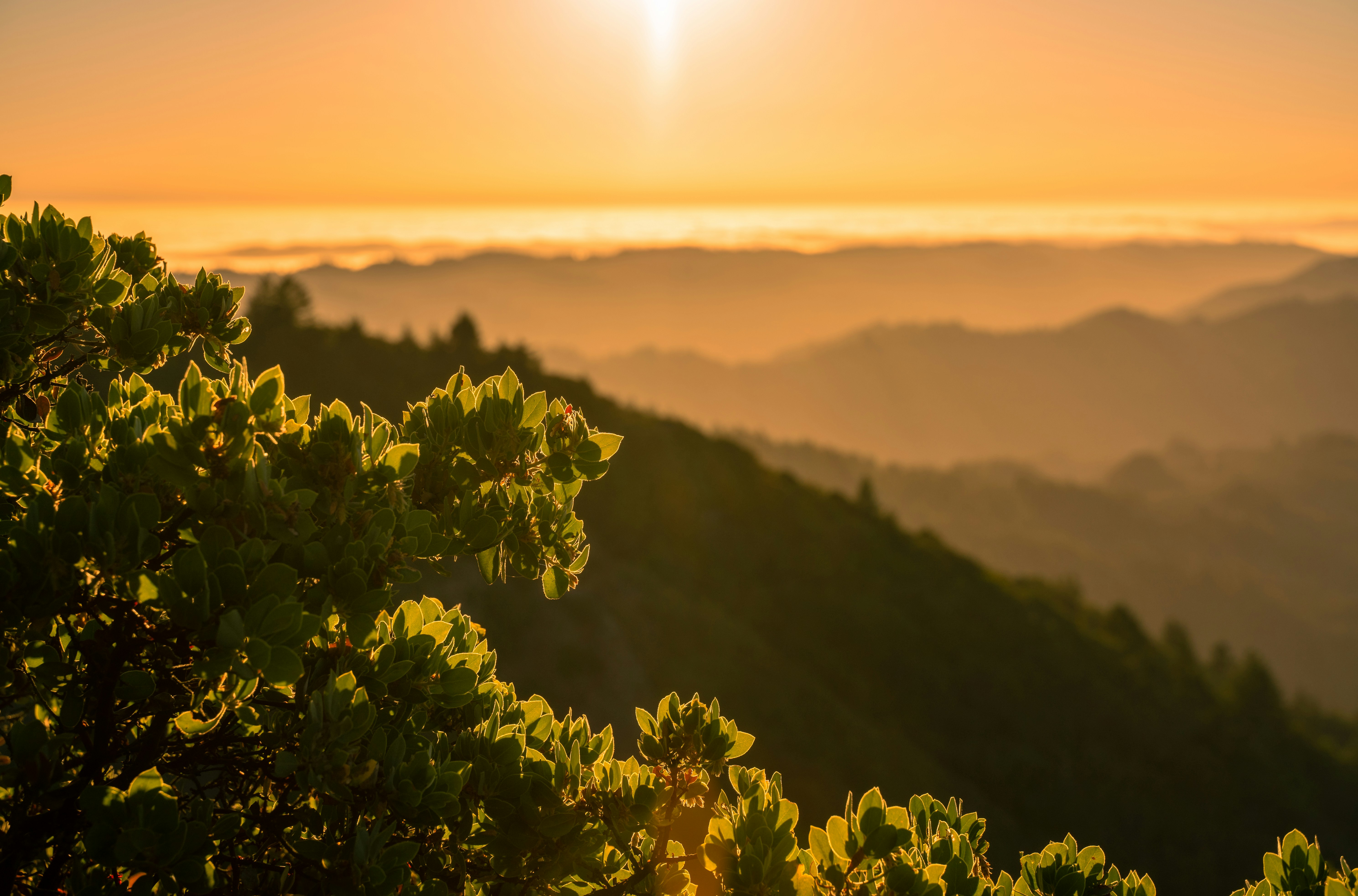 Open Space, Coastal Protection & View Corridors in Marin