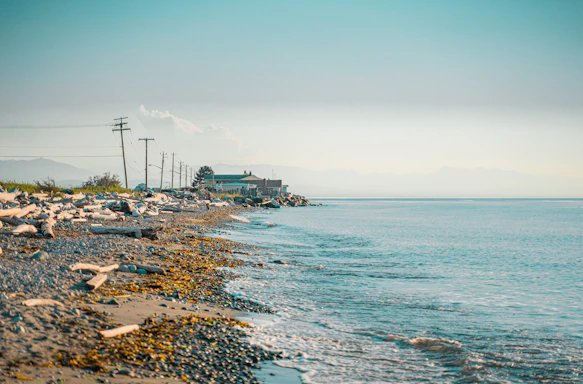 A friendly Coastal Clear Junk Removal team member answering a phone call with a backdrop of a clean, green coastal neighborhood.