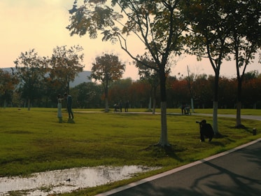 An intimate family photo session in a serene park.