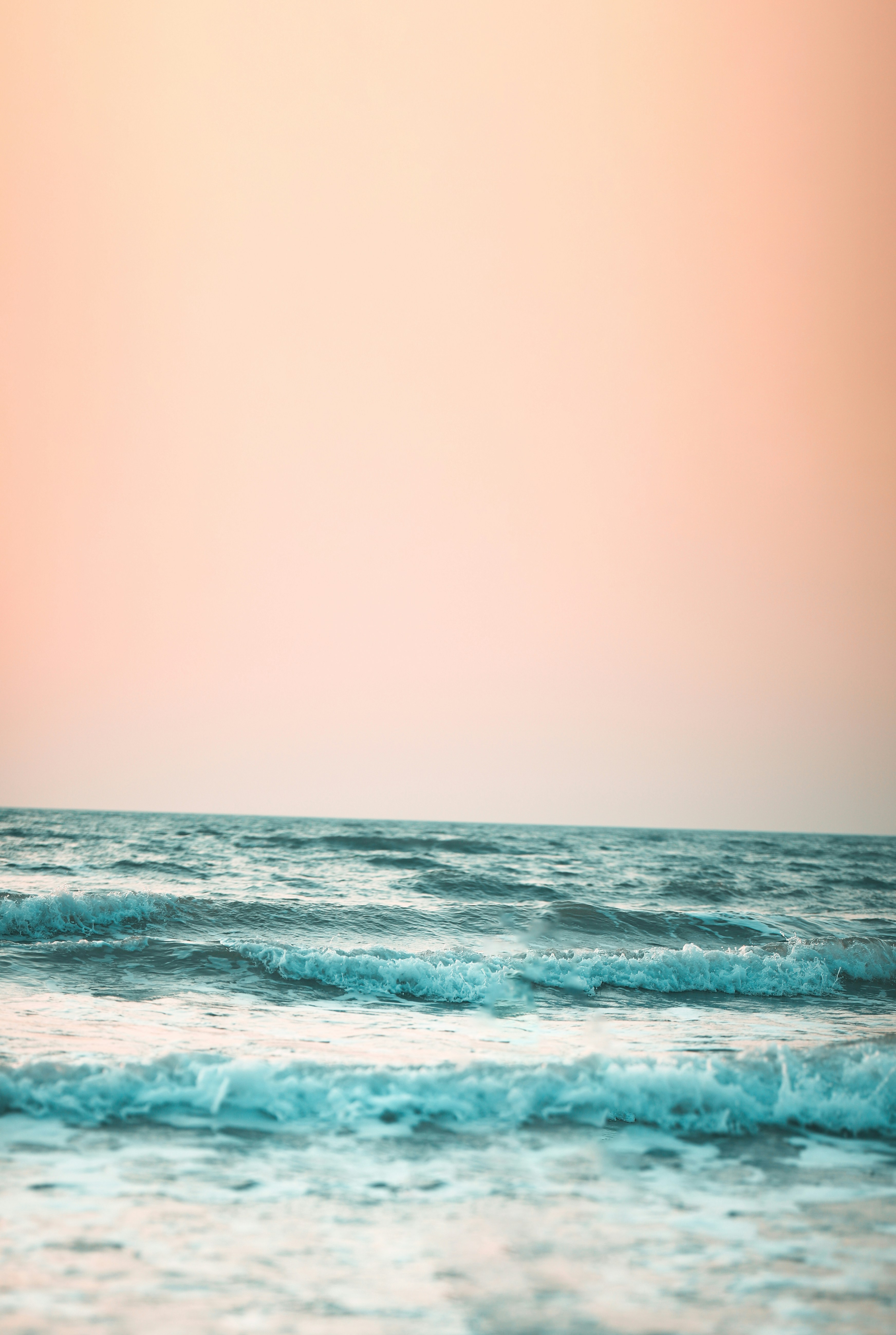 Photo by rohollahsaberi