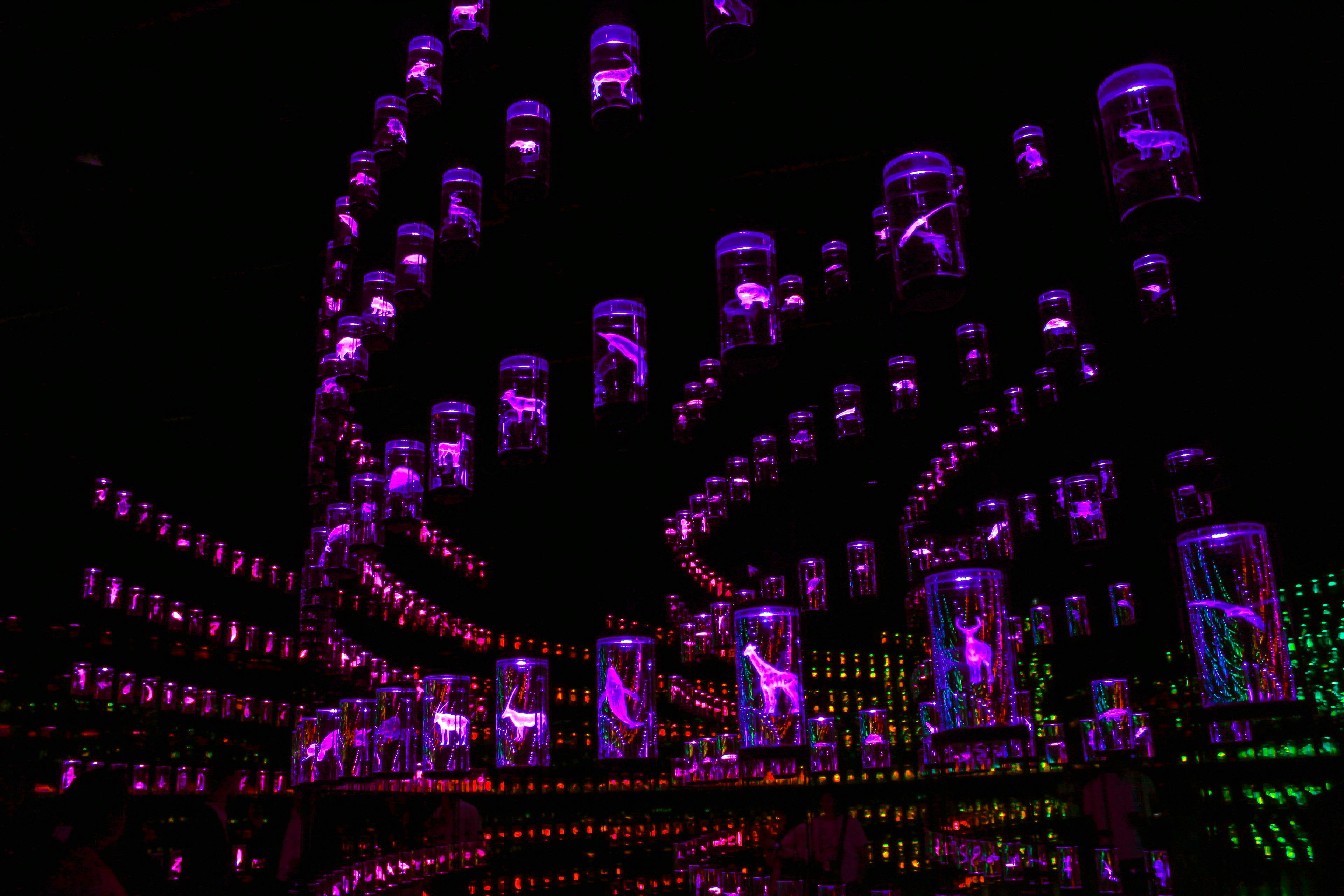 Photo by ashutoshoza