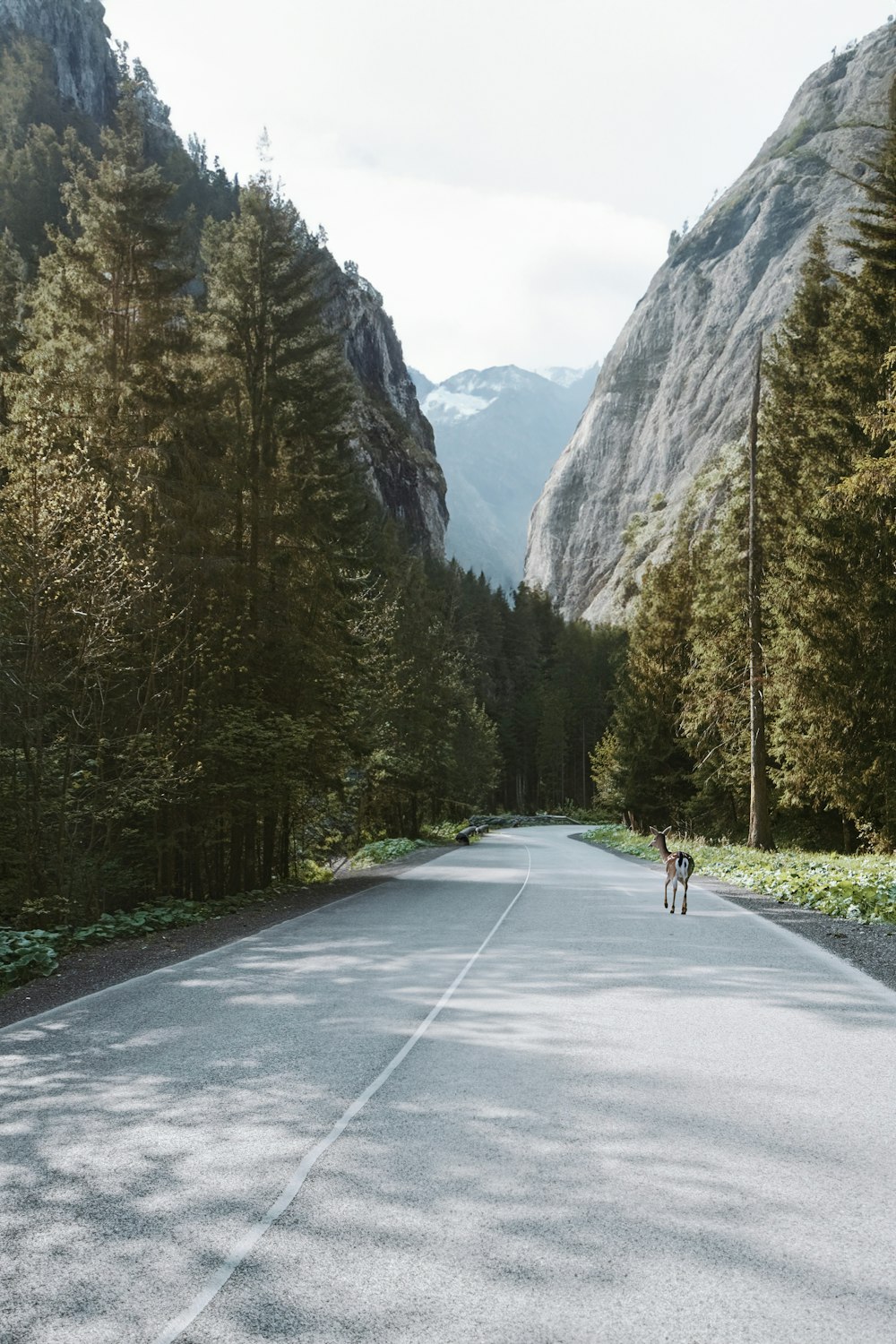 two people walking down the middle of a road