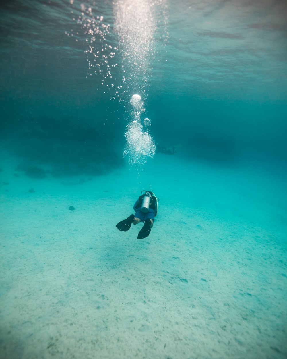 a person in a wet suit swimming in the ocean