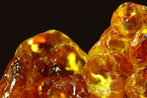 Raw frankincense (Boswellia) resin tears, amber-gold in colour