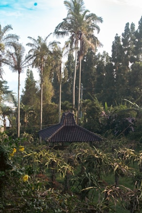 A traditional wooden gazebo with a tiled roof is nestled among lush greenery and tropical vegetation. Tall palm trees tower over the structure, and the surrounding area is filled with dense foliage and plants. The lighting suggests early morning or late afternoon, with soft natural light casting gentle shadows.