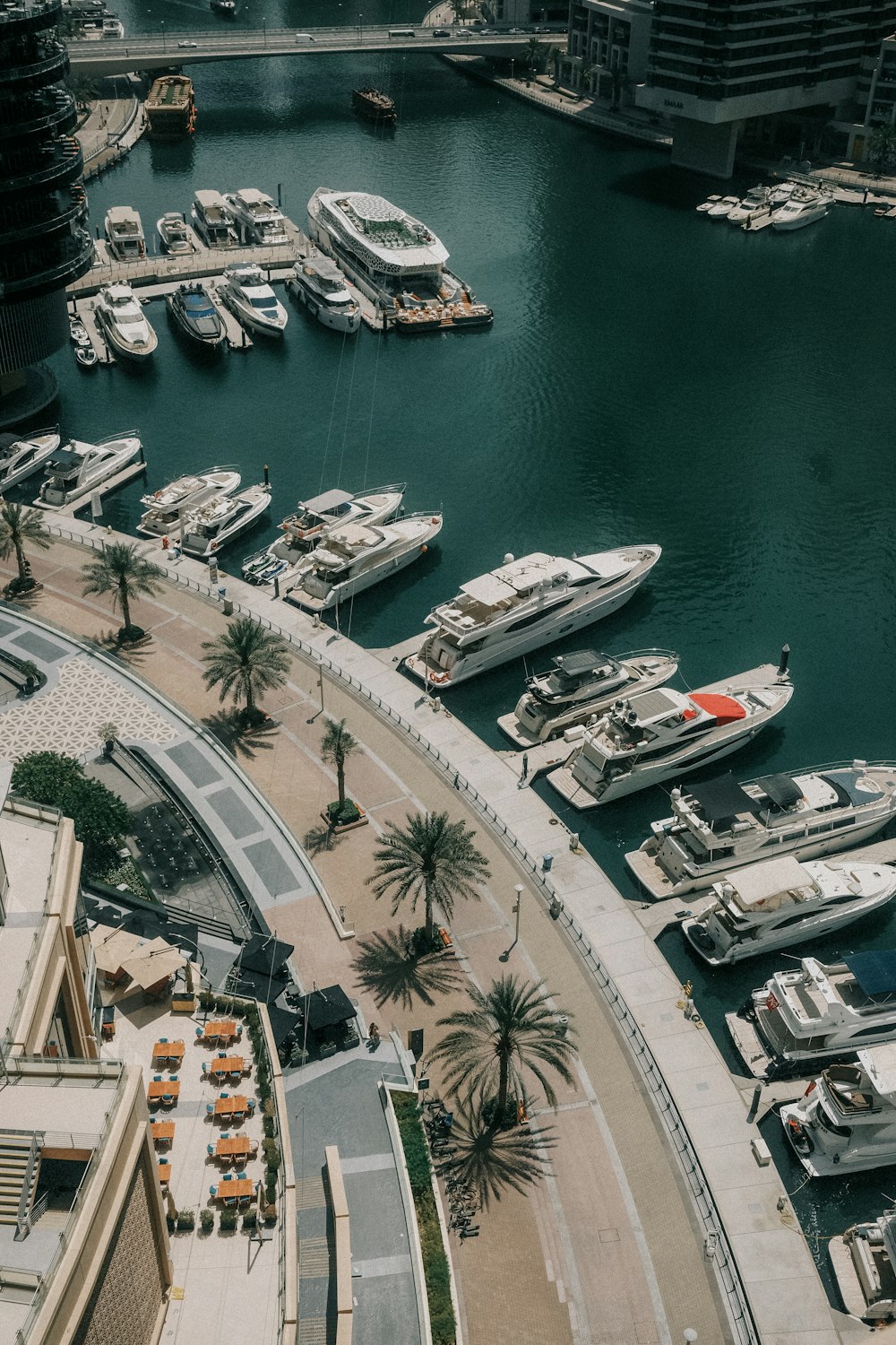 a marina filled with lots of boats next to tall buildings