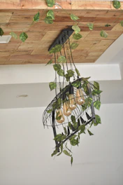 Modern chandelier installed by licensed electrician