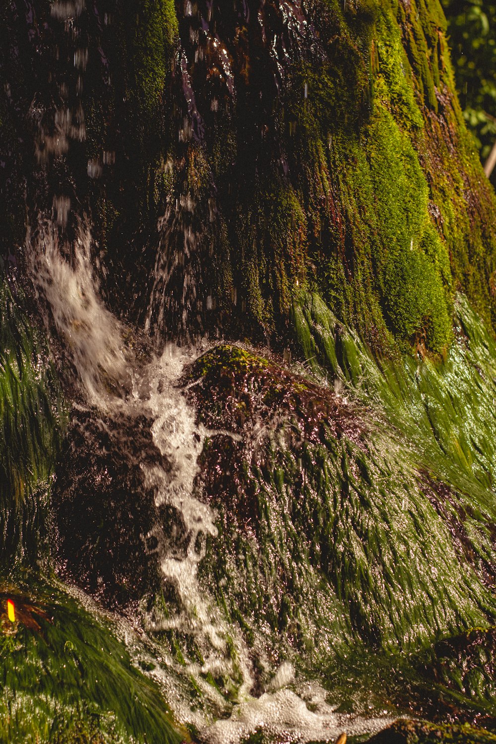 a stream of water running down a mossy hillside