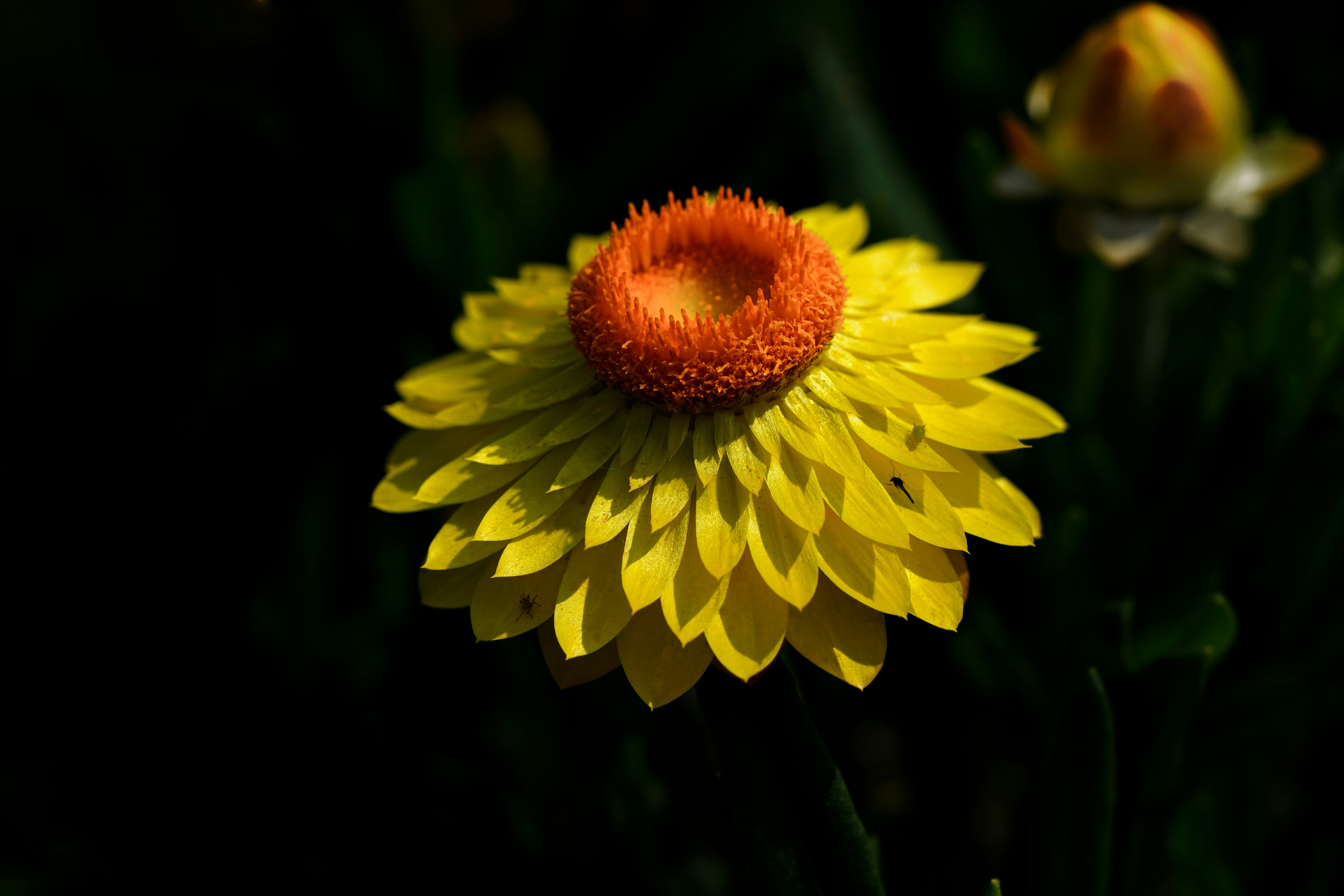 Photo by kim_dae_jeung