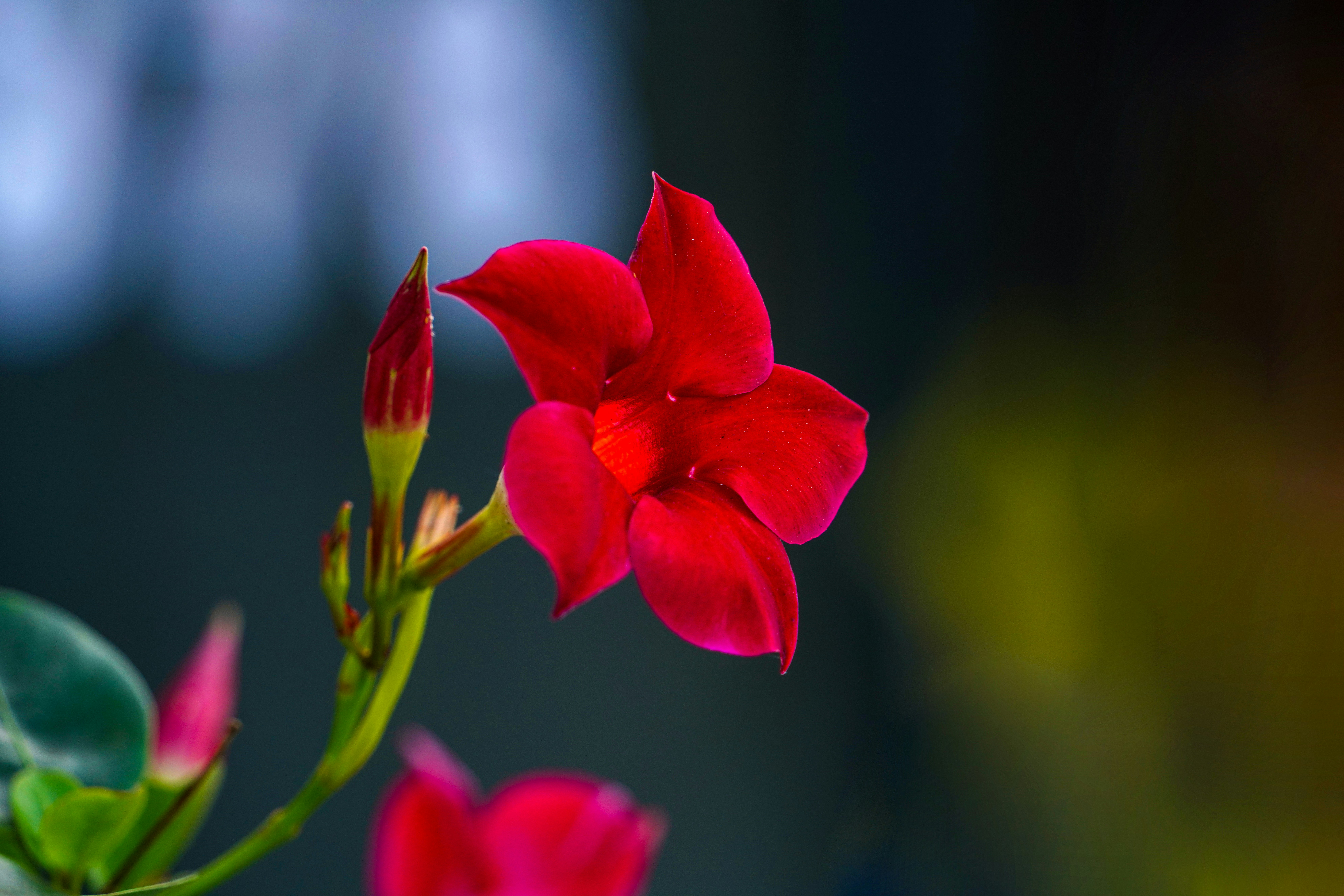 Photo by kim_dae_jeung